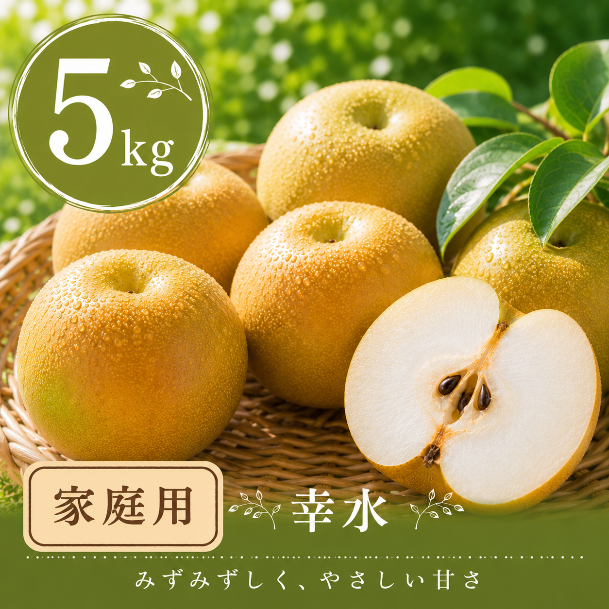 梨：幸水】家庭用 5kg(14〜16玉)｜千葉の梨農家から朝採れ直送【予約