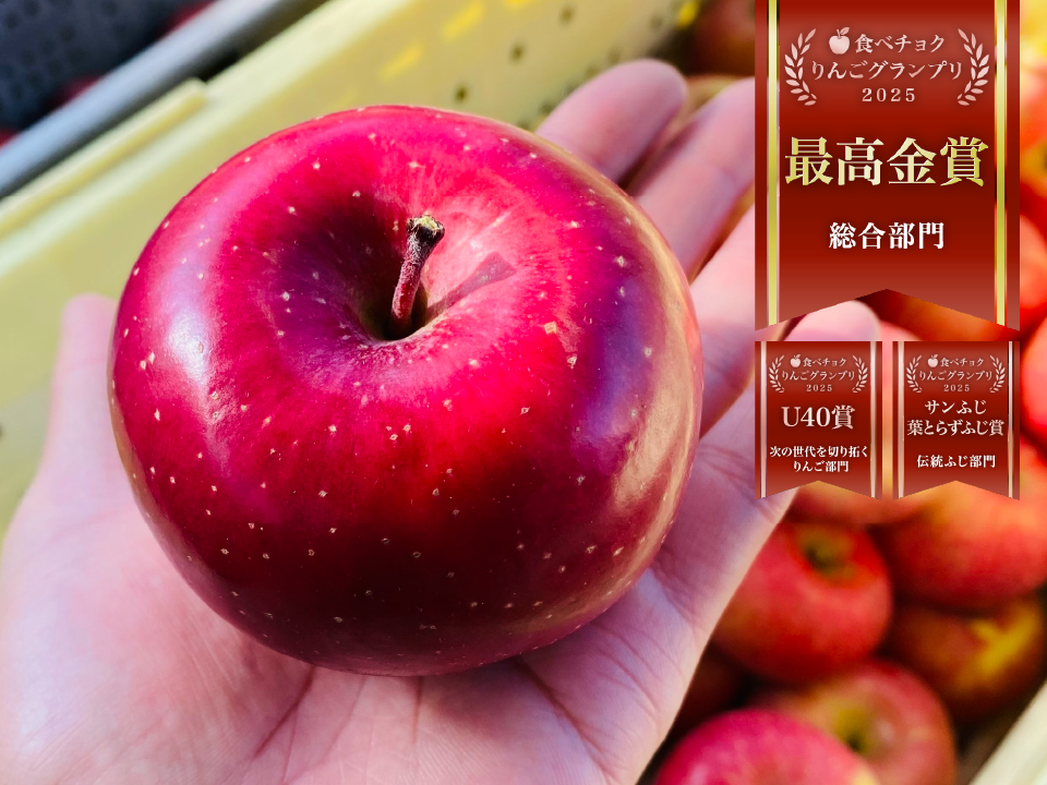 糖度20%！味は贈答用クラス10キロ★信州高山村産小玉サンフジ★甘い！美味しい！ 10kg ⁂贈答用信州高山村産⁂葉取らずサンふじ 陽の光をたっぷり浴びた