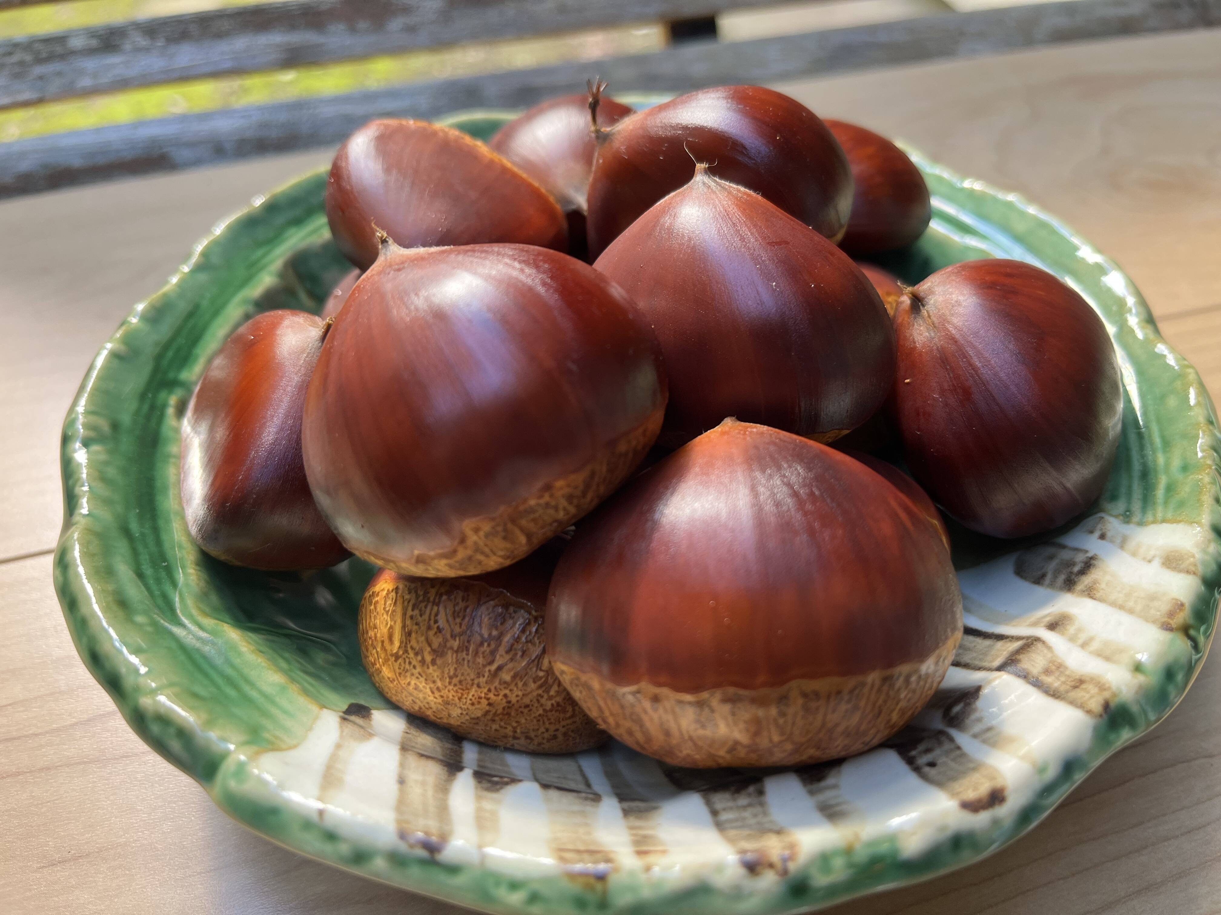 丹波くり 晩生 「筑波」 希少4Lサイズ① 約500g（本州のみ）：京都府