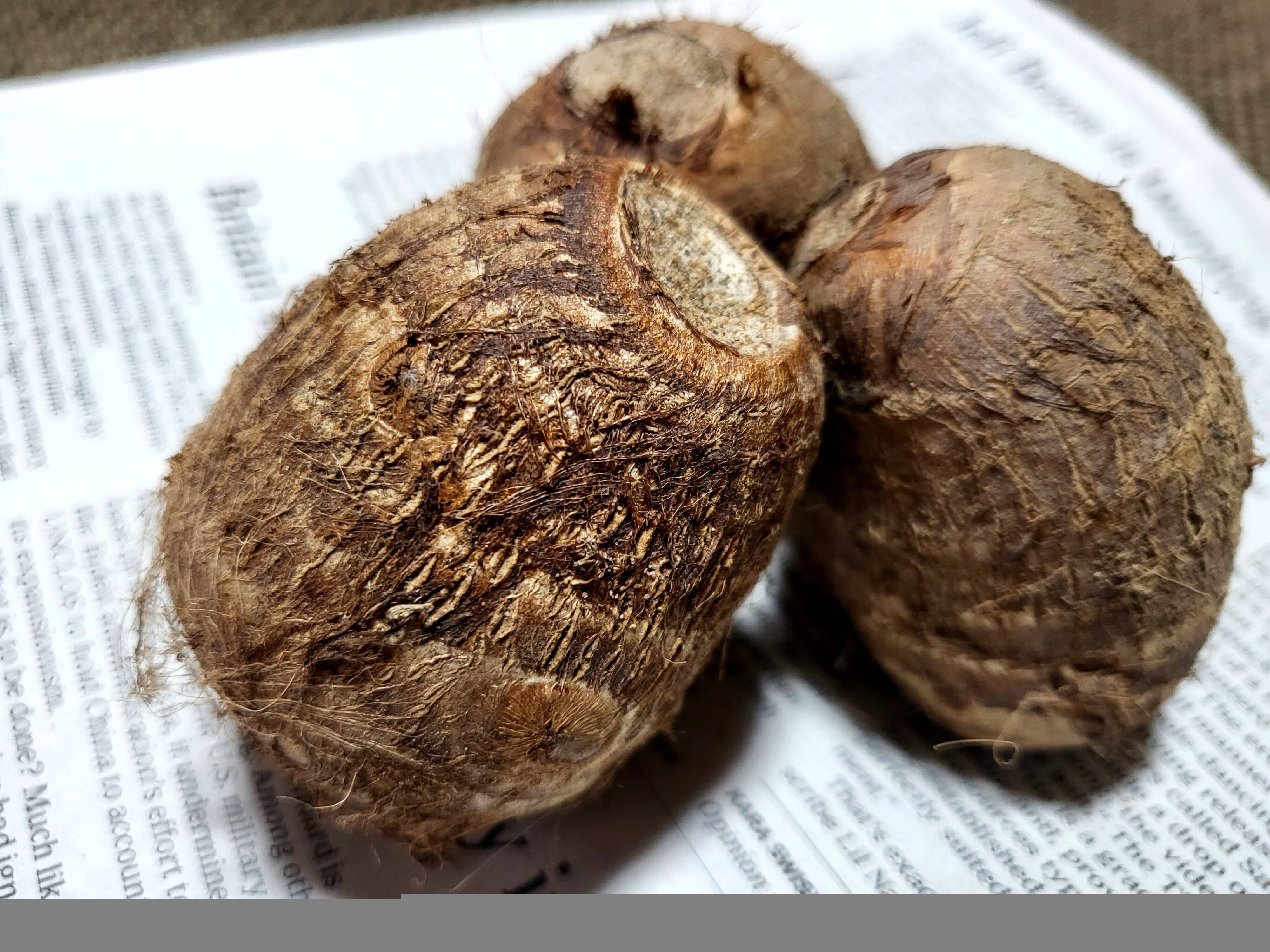 能登のさといも「里美ん（さとみん）♡」2kg：石川県産の大和｜食べ 