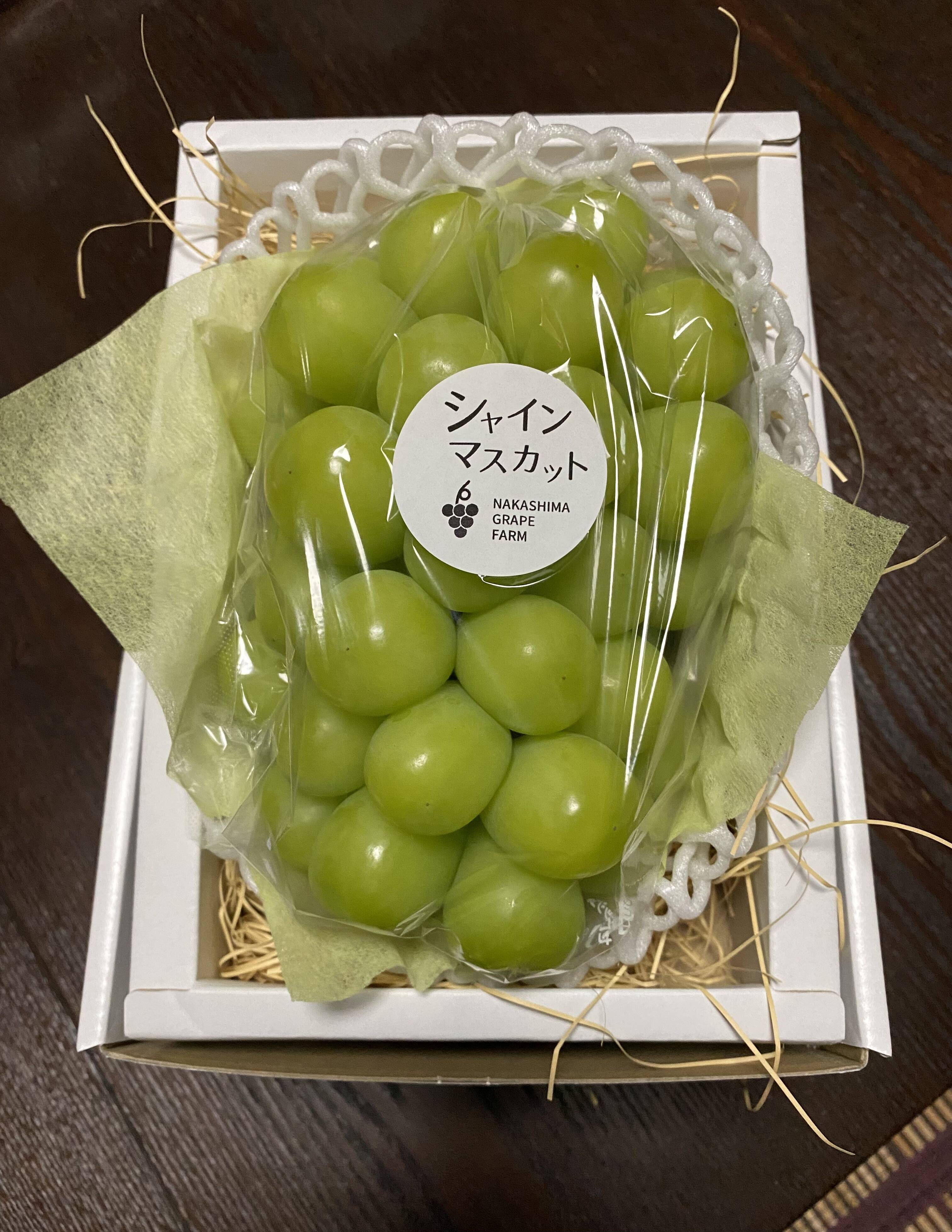 夏ギフト】 エメラルドグリーンの輝き！矢掛町産シャインマスカット一