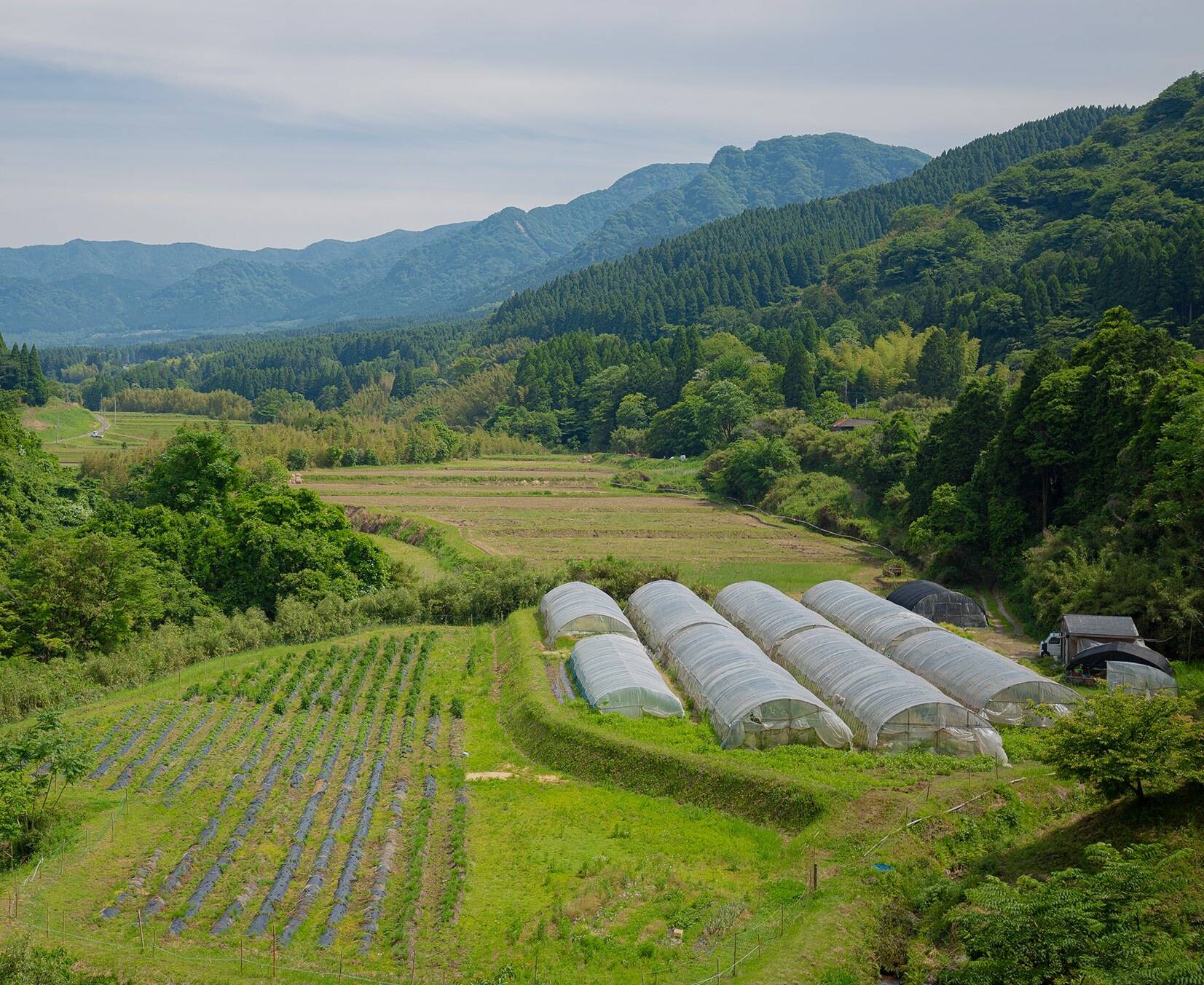 南阿蘇オーガニックへのレビュー・商品：熊本県｜食べチョク｜産地直送(産直)お取り寄せ通販 - 農家・漁師から旬の食材を直送