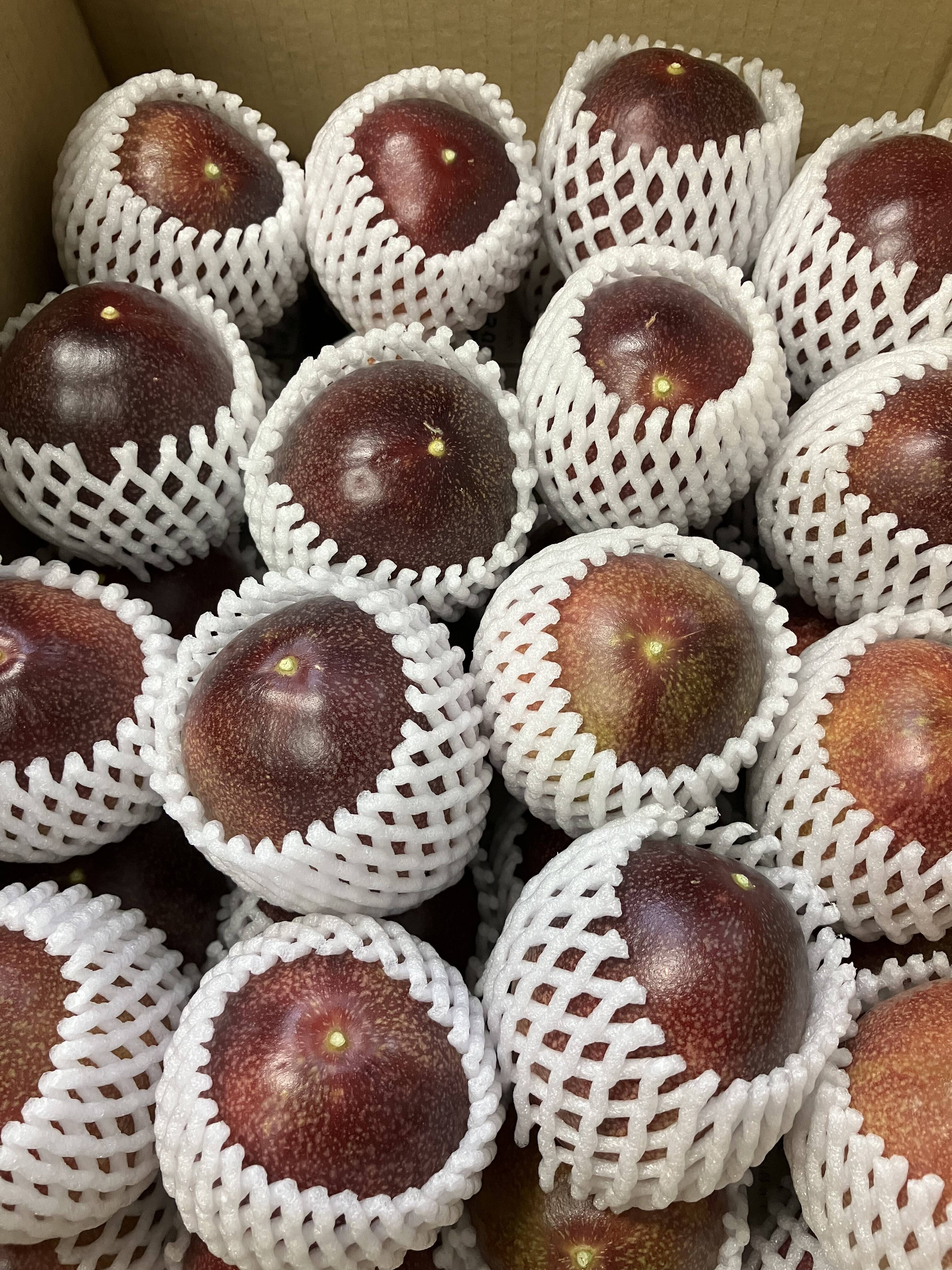 大分県玖珠郡産パッションフルーツ・りり恋【2kg、訳あり・不定期販売