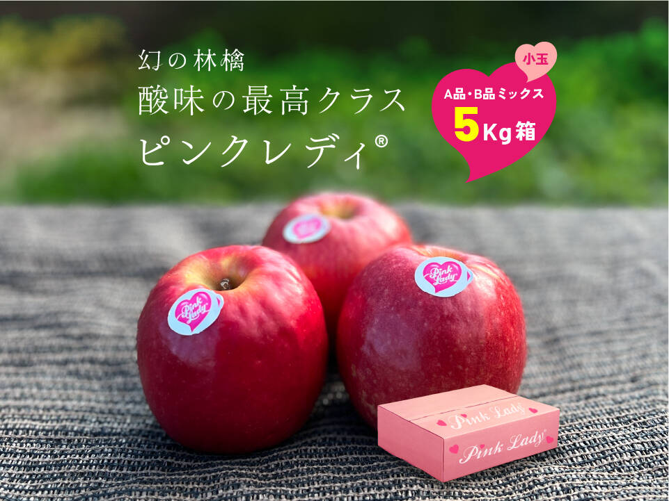 発送1月9日から！【幻の林檎】ピンクレディ 酸味の最高クラス 5キロ箱