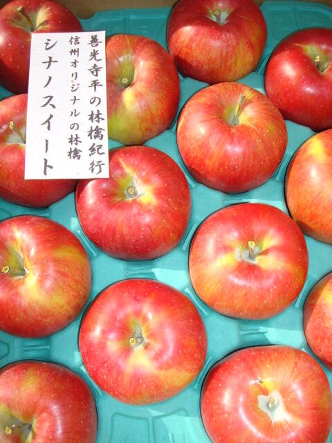 シナノスイート」 値下げ！！訳ありご家庭専用 約3キロコース （8から