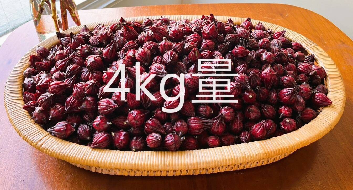 91％以上節約 ハイビスカスローゼル1.8kg リール - oliveiraesa.com.br