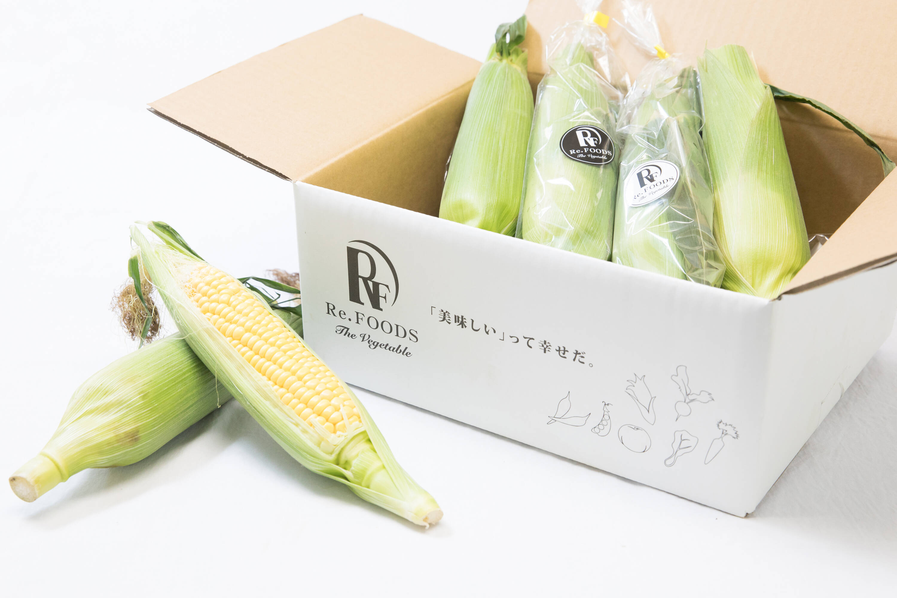 夏ギフト】【朝採り】甘さ爆発！弾けるとうもろこし🌽 黄・白