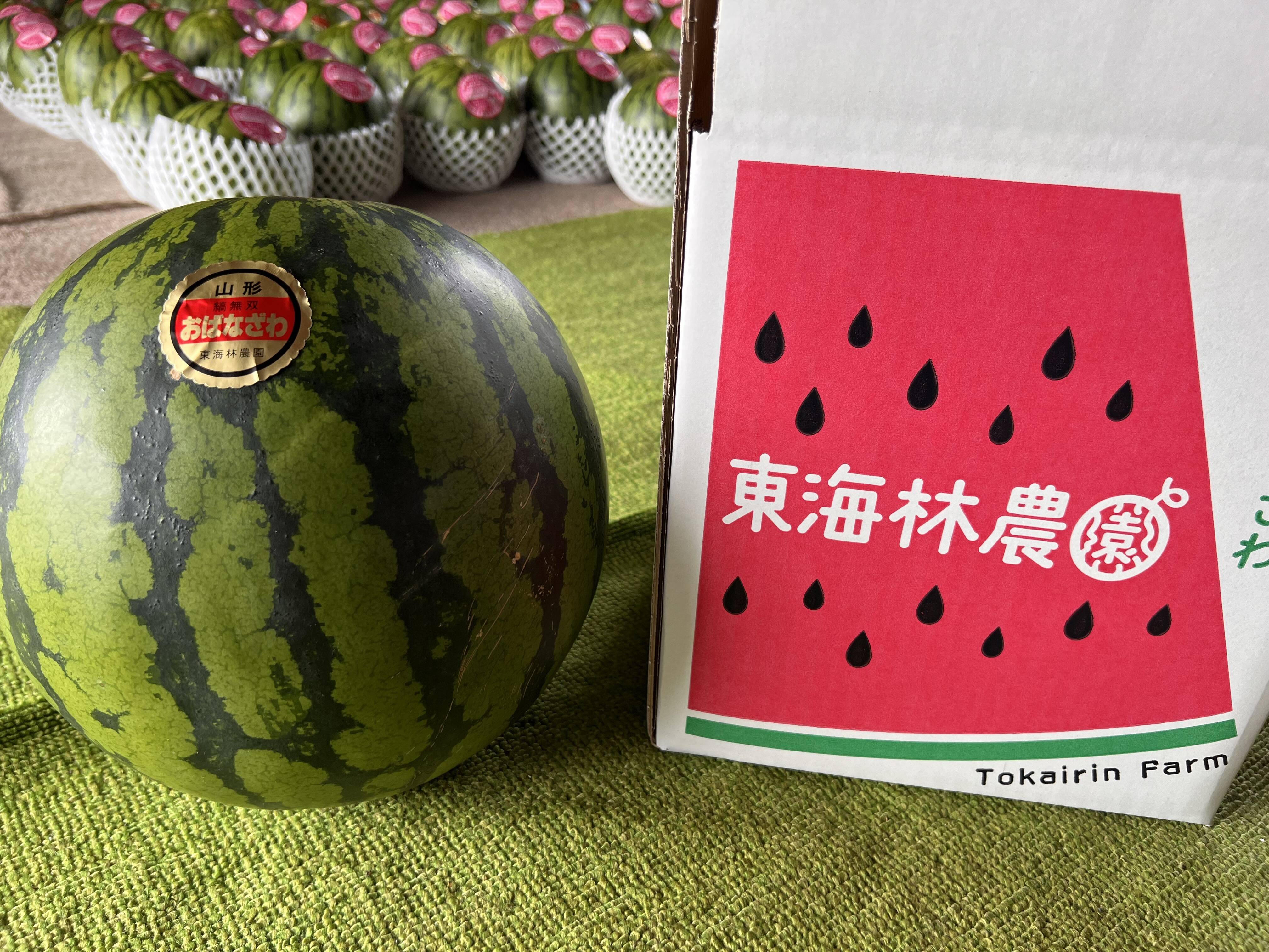 ８キロ・静岡県・ふくたろう・羅皇ザ・スイート 楽天市場】【ふるさと納税】 すいか ご家庭用 大玉 羅皇ザ