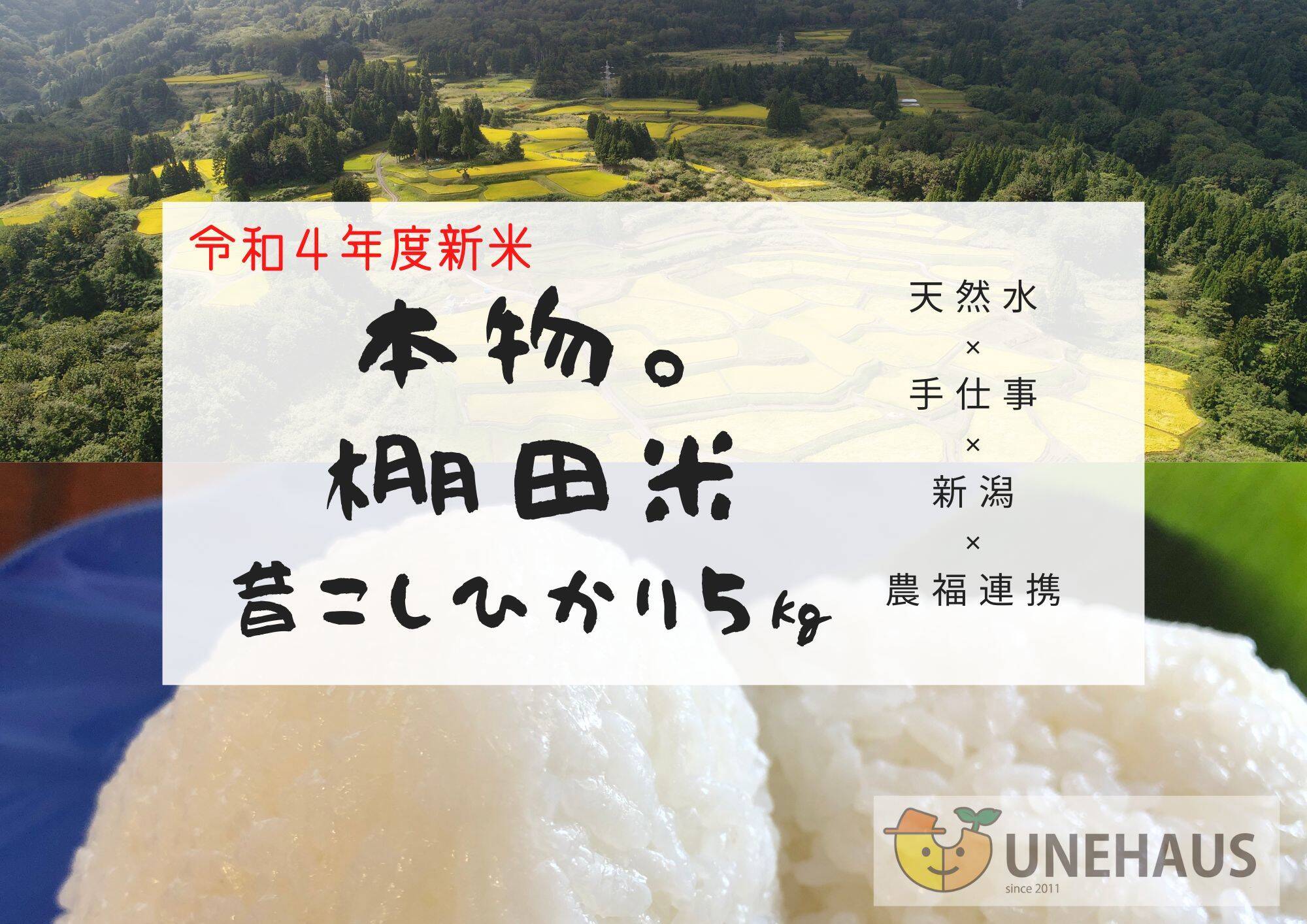 最大83％オフ！ c.新米 お試し品自然農法で安心安全コシヒカリ お米１