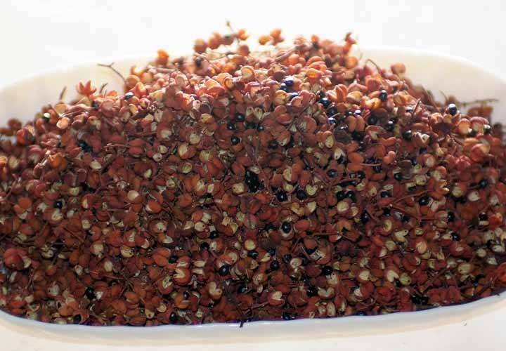 完熟乾燥山椒】100g(和歌山紀美野産)：大阪府産の山椒｜食べチョク