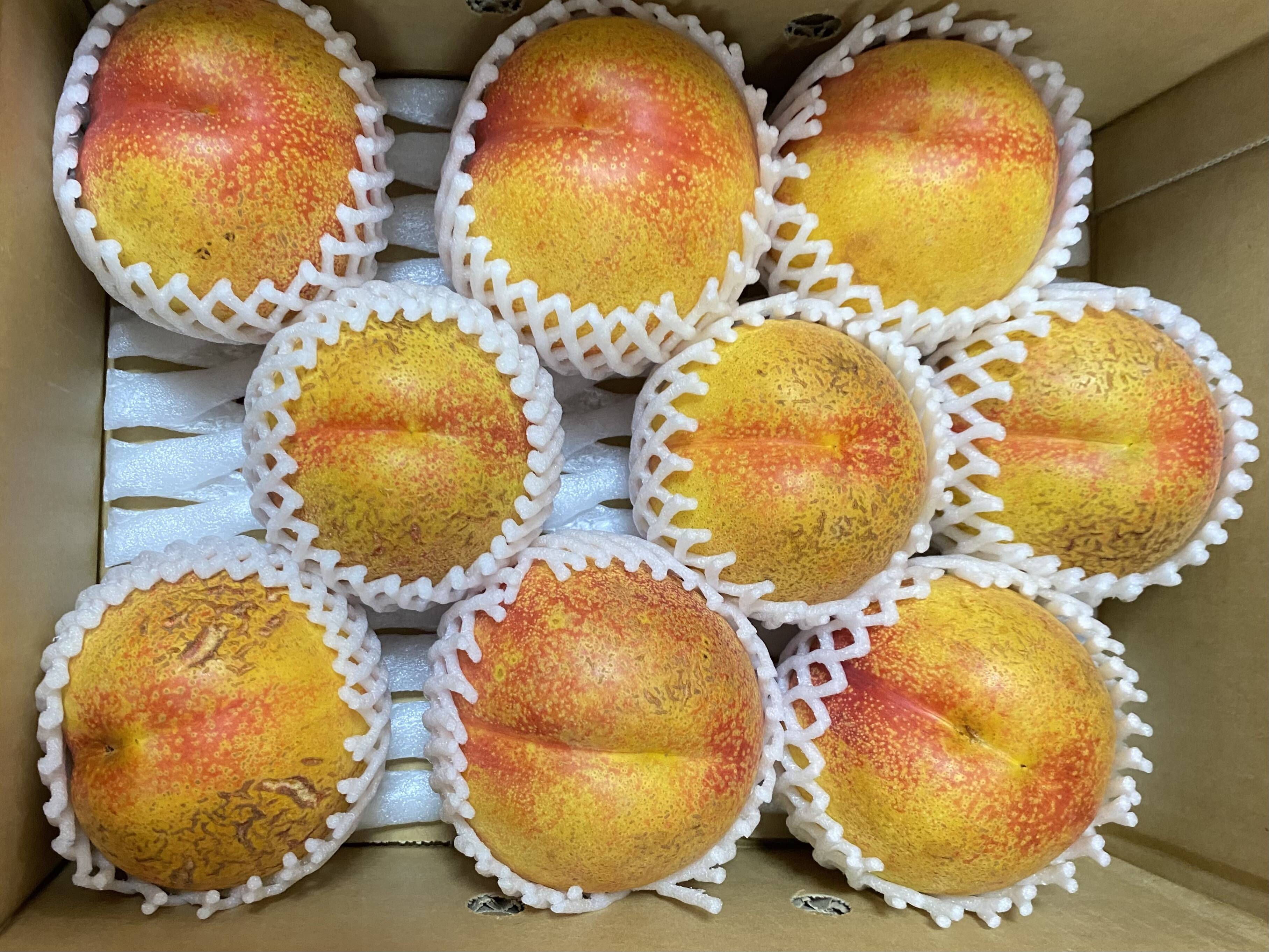 ネクもも🍑スイートビーナス🍑3キロ箱 訳あり家庭用：山形県産の白桃