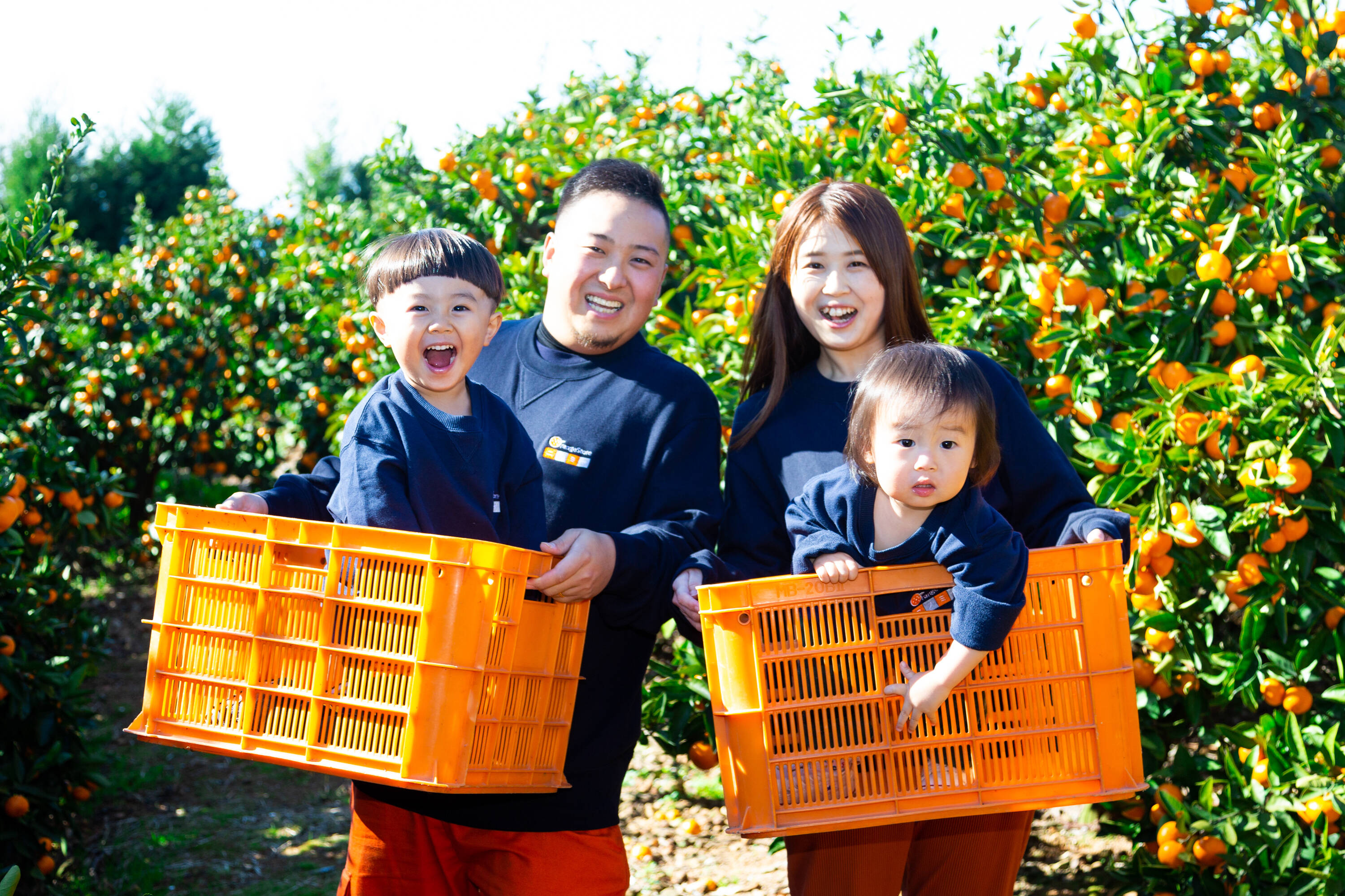 c7ed8f7d614e18bee7388b6c561057