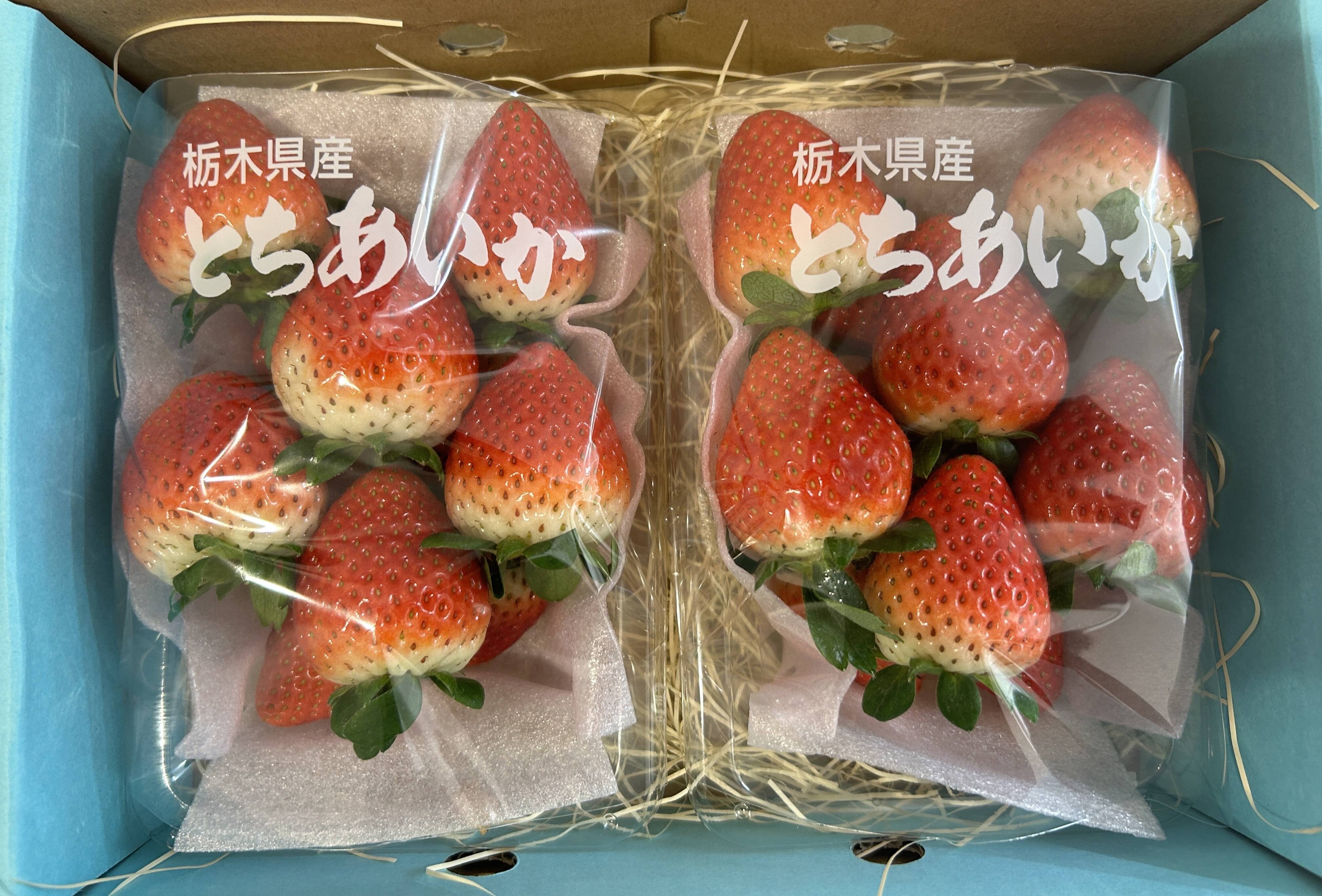 茨城県産 とちあいか 4パック いちご - 果物