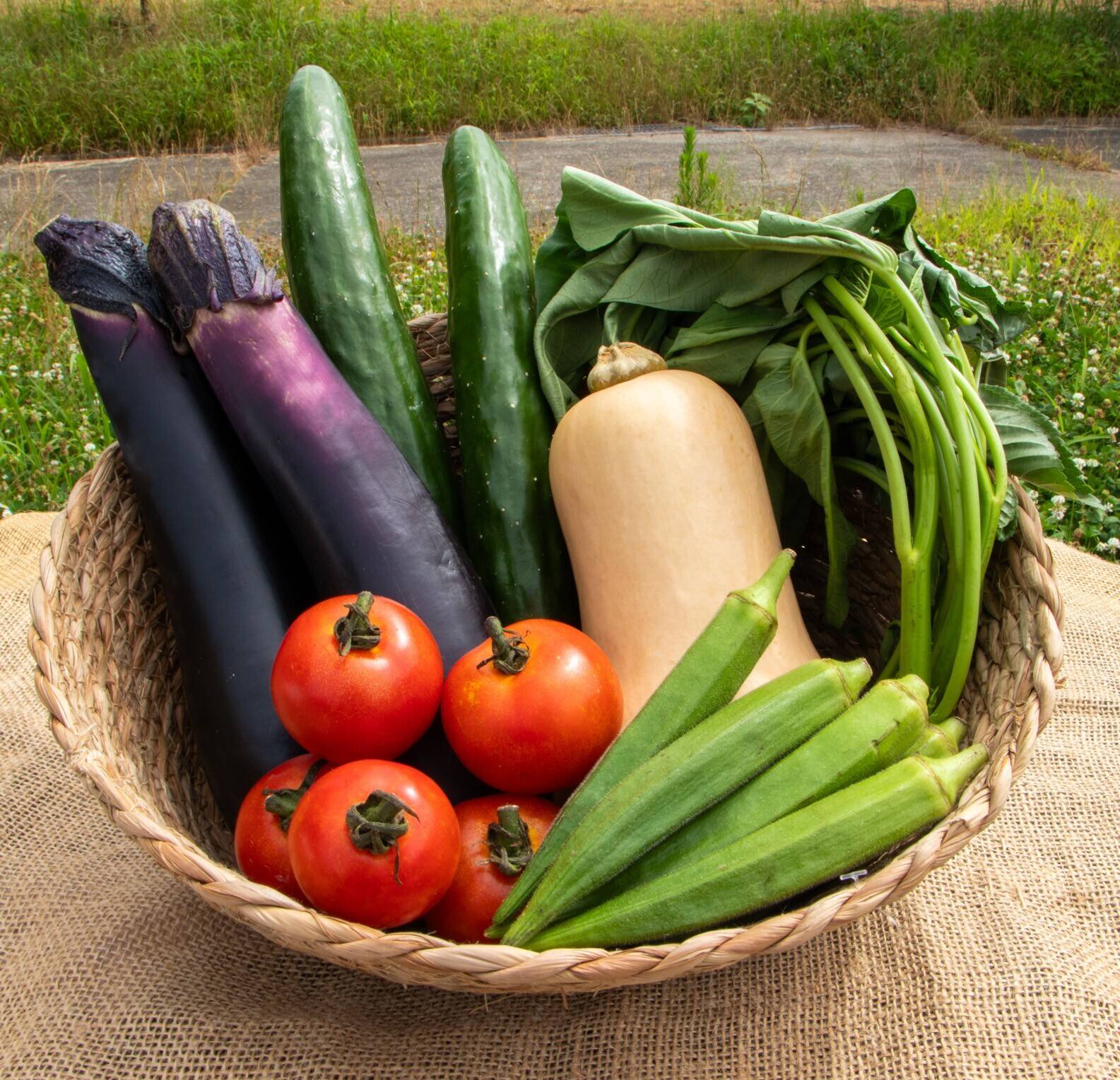 とまと様　野菜セット 夏野菜セット】100年続く農家のおすすめ！夏野菜セット| 約4.2
