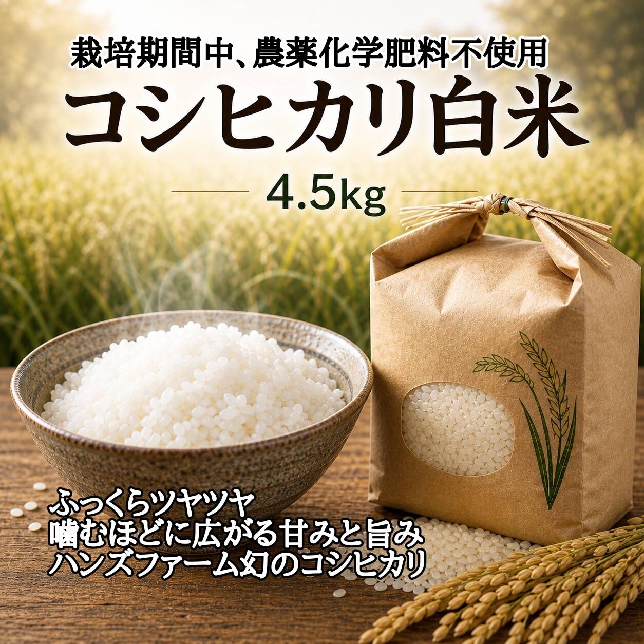 栽培期間中農薬不使用!! 京丹後産『コシヒカリ』白米4.5kg：京都府産の