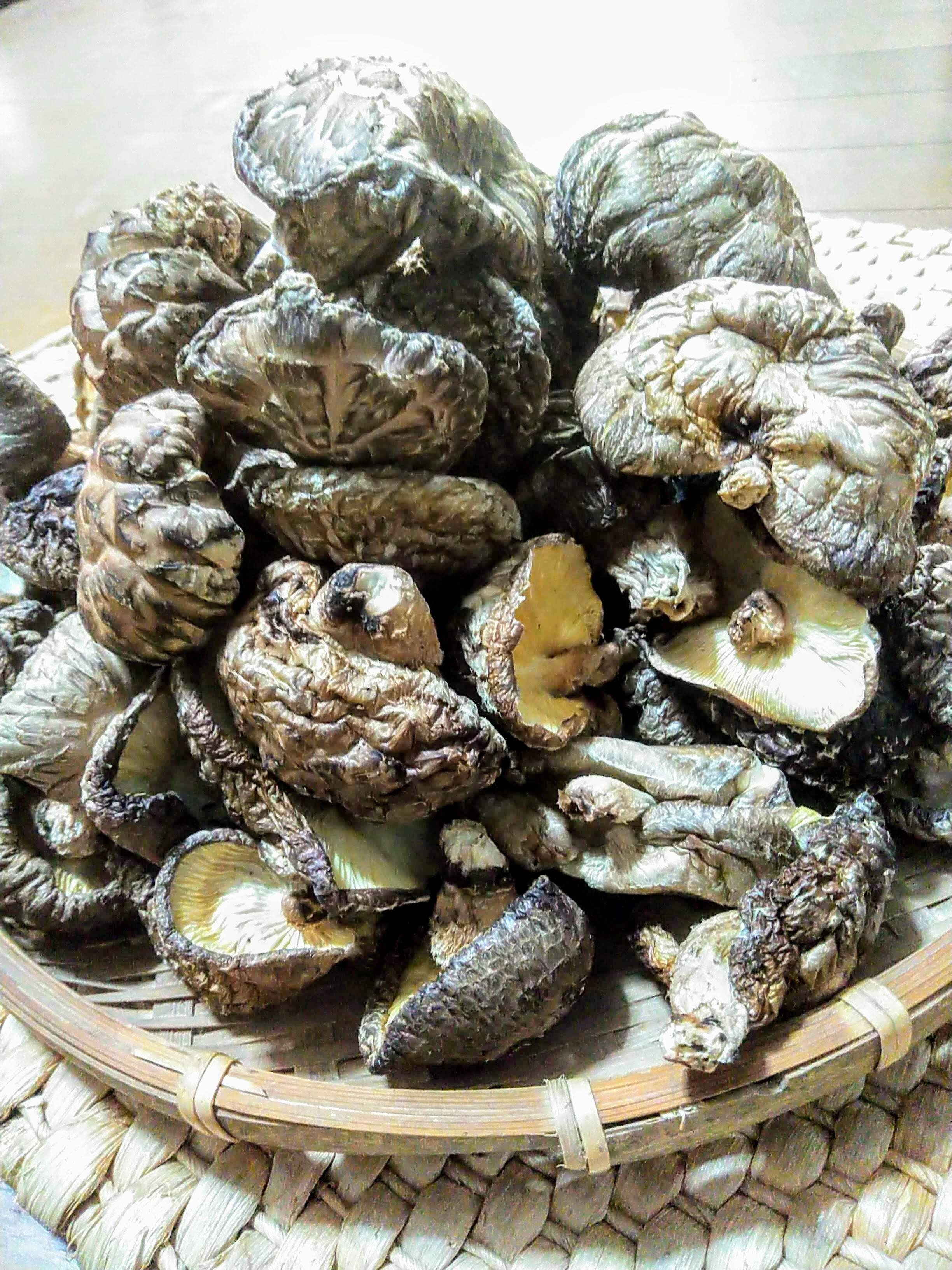 個性派揃い 原木干し椎茸徳用袋 2袋 栃木県産のきのこ 食べチョク 産地直送 産直 お取り寄せ通販 農家 漁師から旬の食材を直送