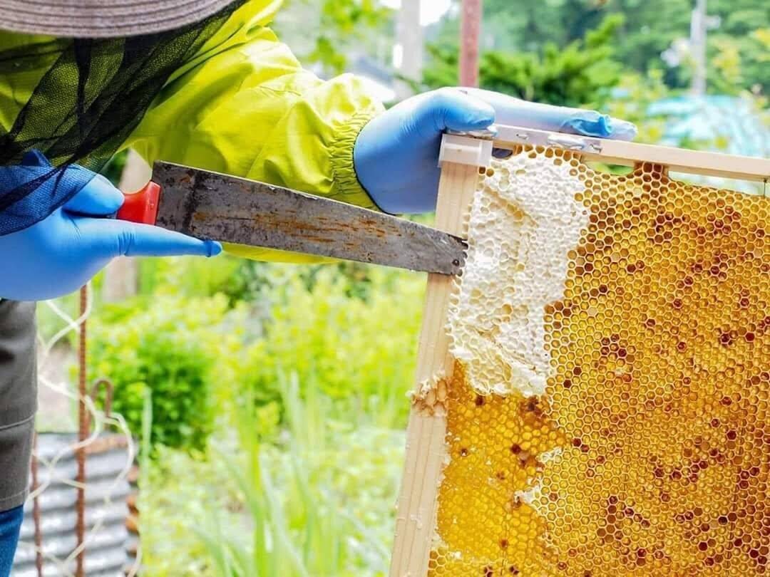 c8760670db8c2293372c44950c7cb0