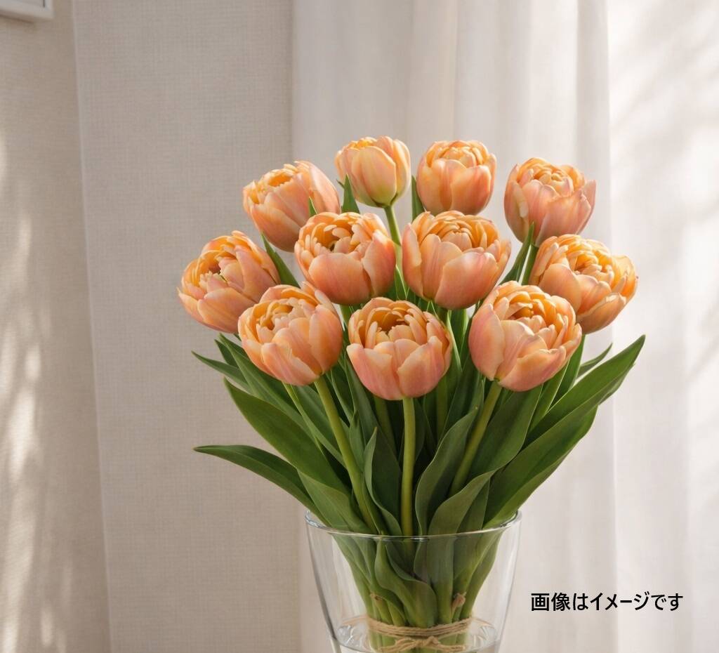 c8a5563b4feb295be8dd161f2f3632