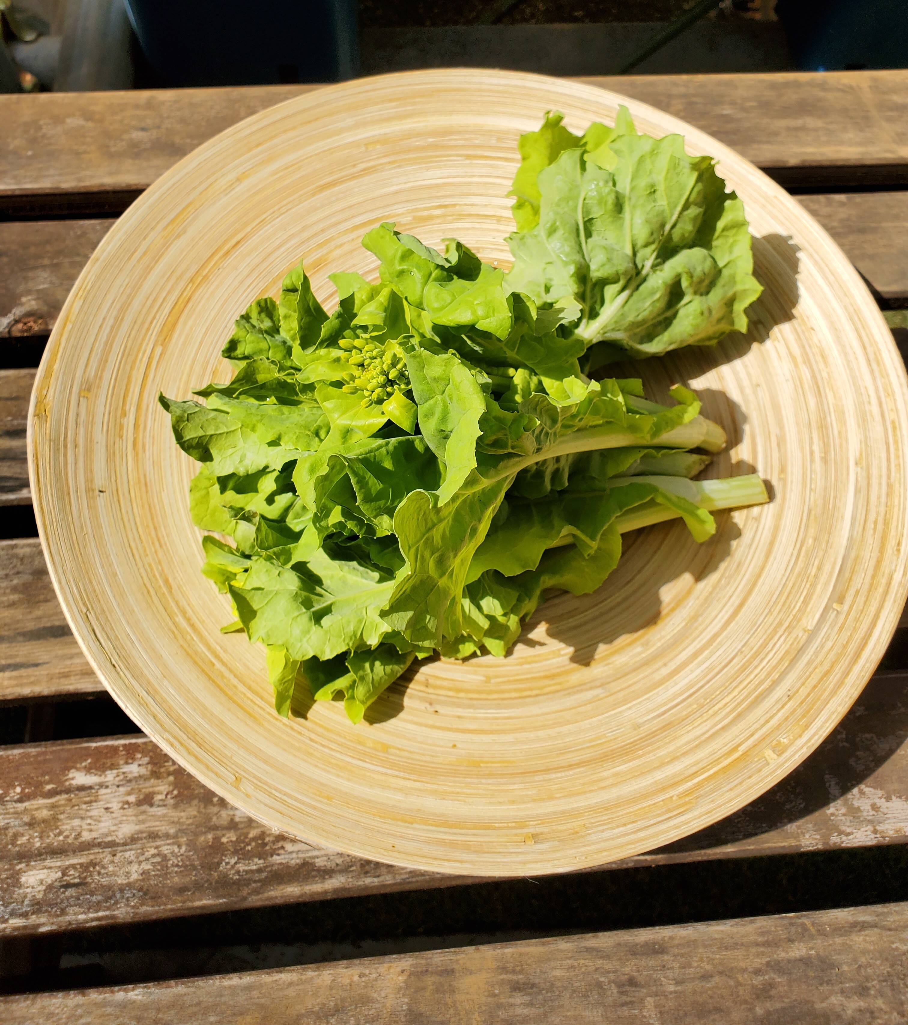 南房総産 菜花 産地直送 新鮮野菜 菜の花 - 野菜