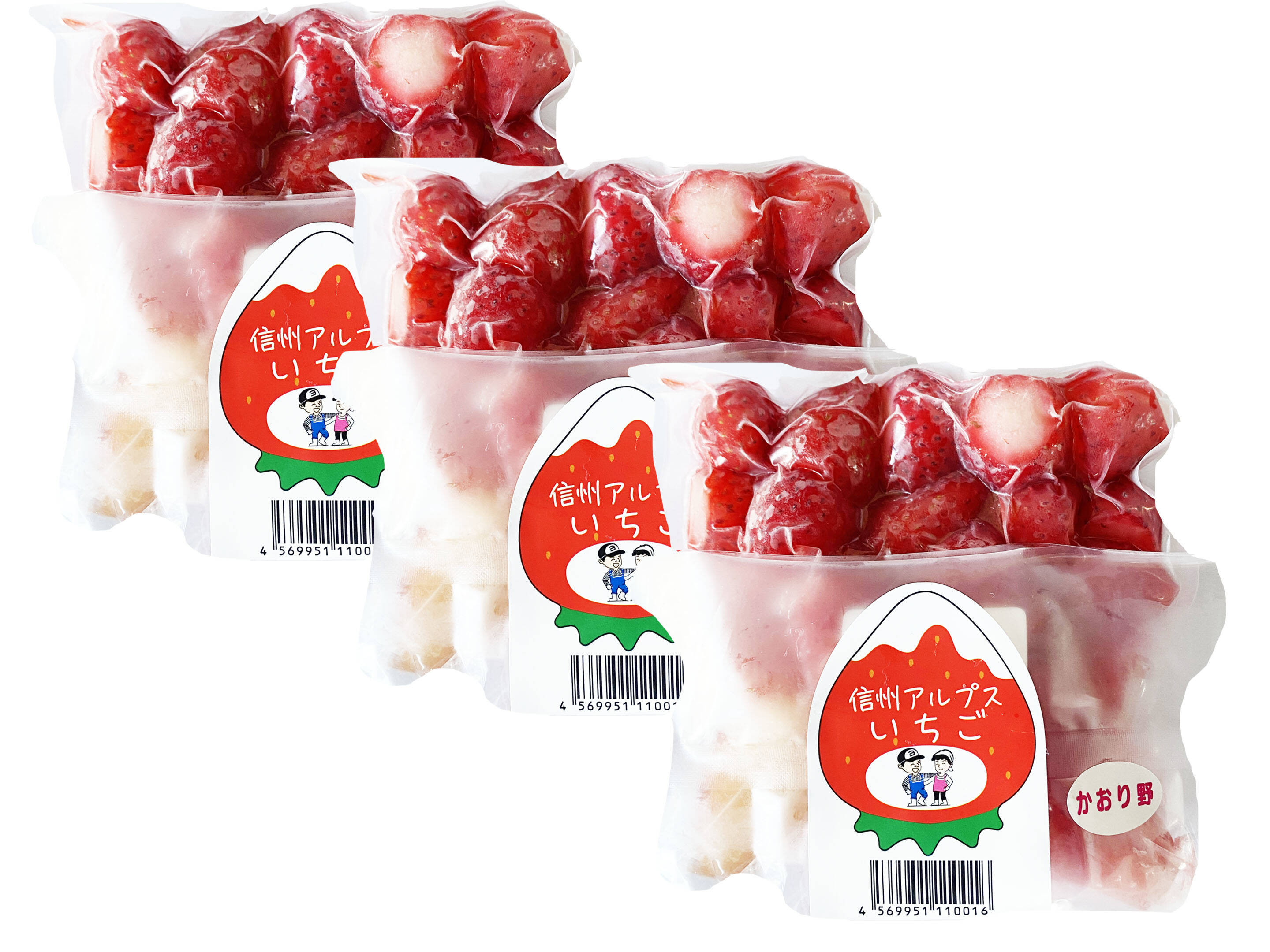 冷凍苺5kg(500g×10袋） 佐賀県産 カキ氷 ジャム スムージー - 果物