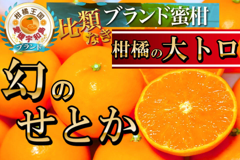 みんなにお裾分け　大容量　メガマックス　まどんな　大トロ状態　紅まどんな　みかん 🍊注目度№1誇る柑橘の大トロ🍊人気過ぎて気付いたら1年待ちの