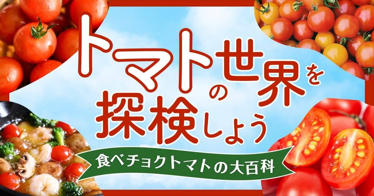 【トマトの世界を探検しよう】トマトの品種21種類を特徴ごとに一挙公開!