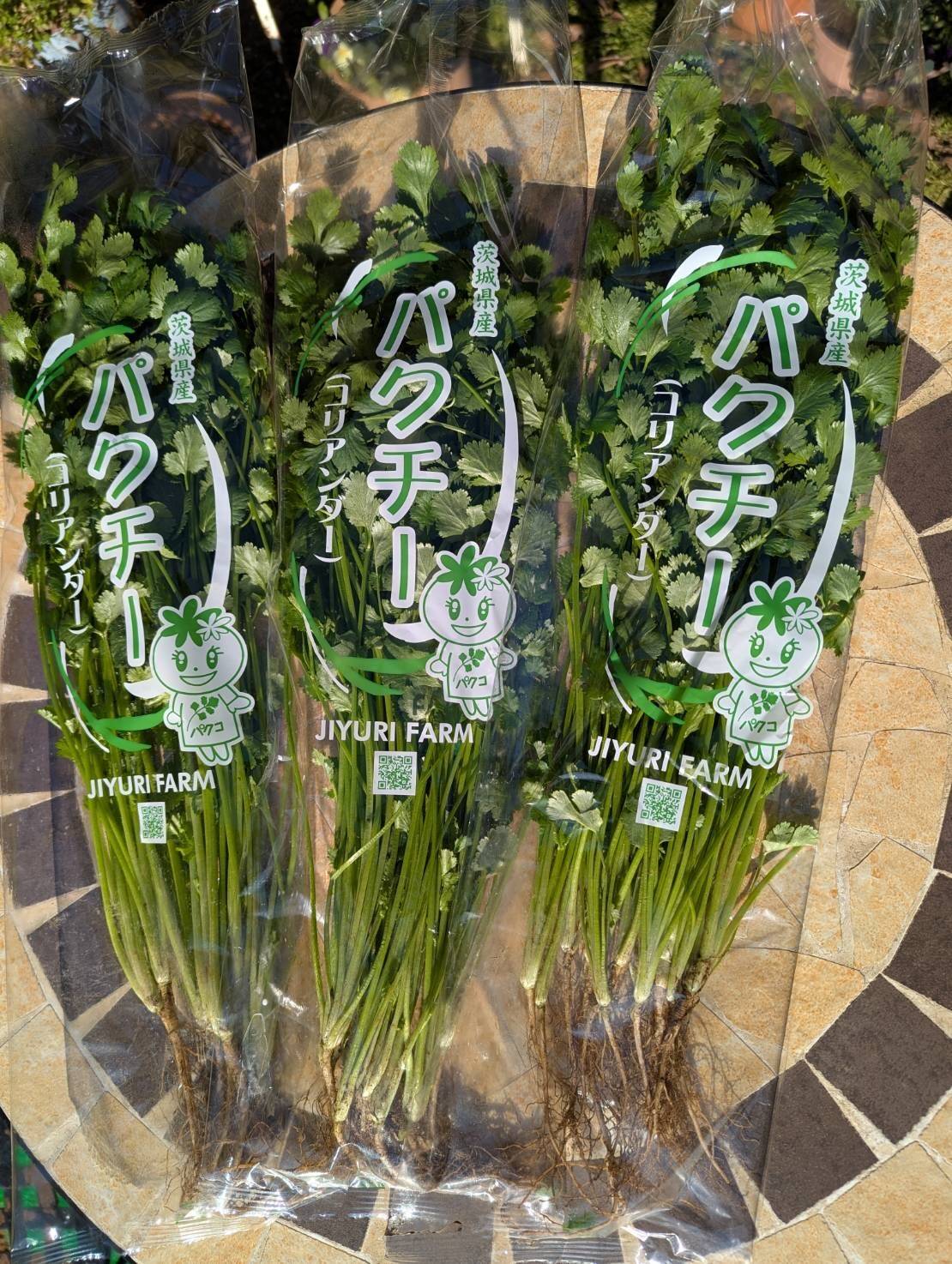 クール便【根付き1kg】通年栽培！！茨城県産NO.1の今朝獲れ新鮮