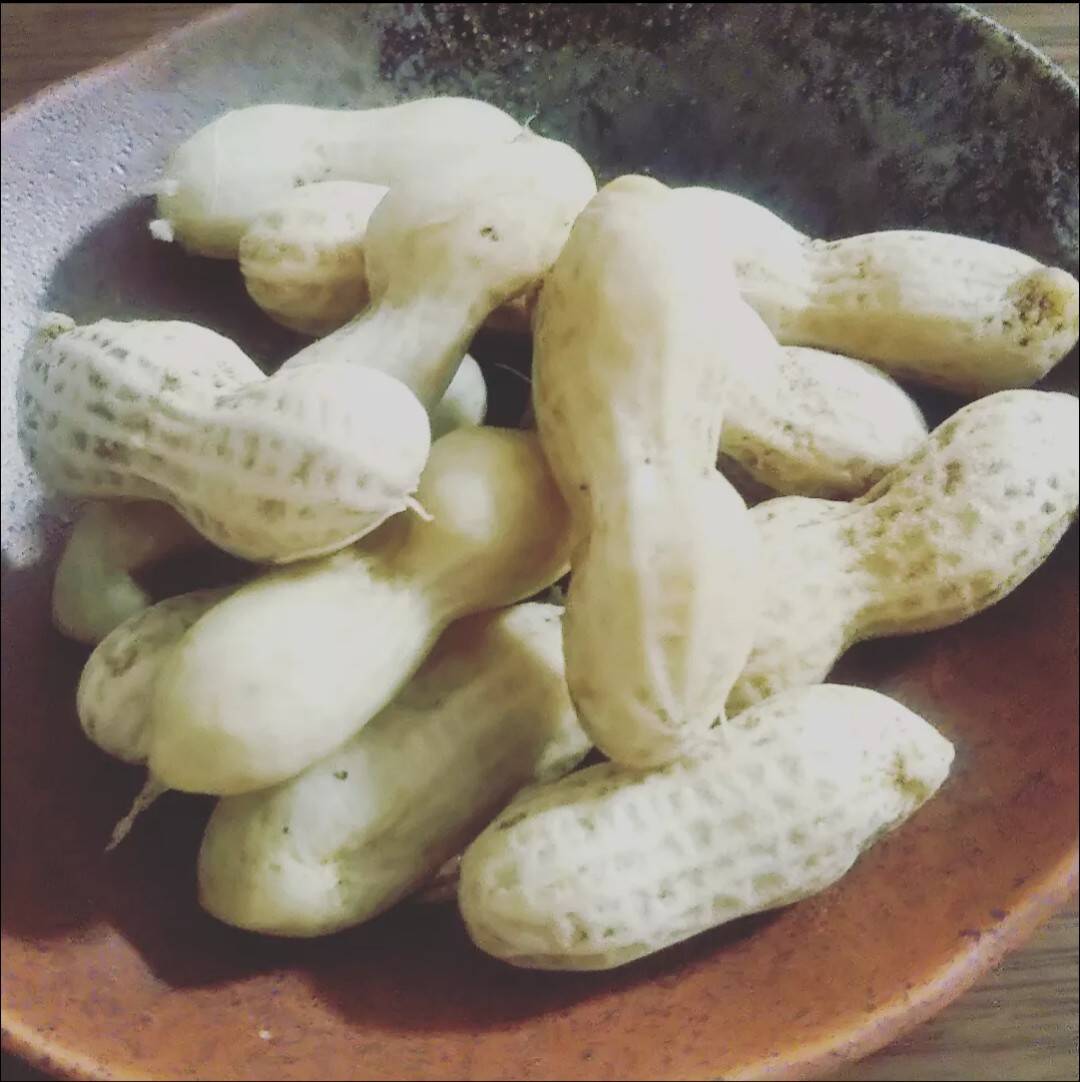 一度食べたらやみつき！】