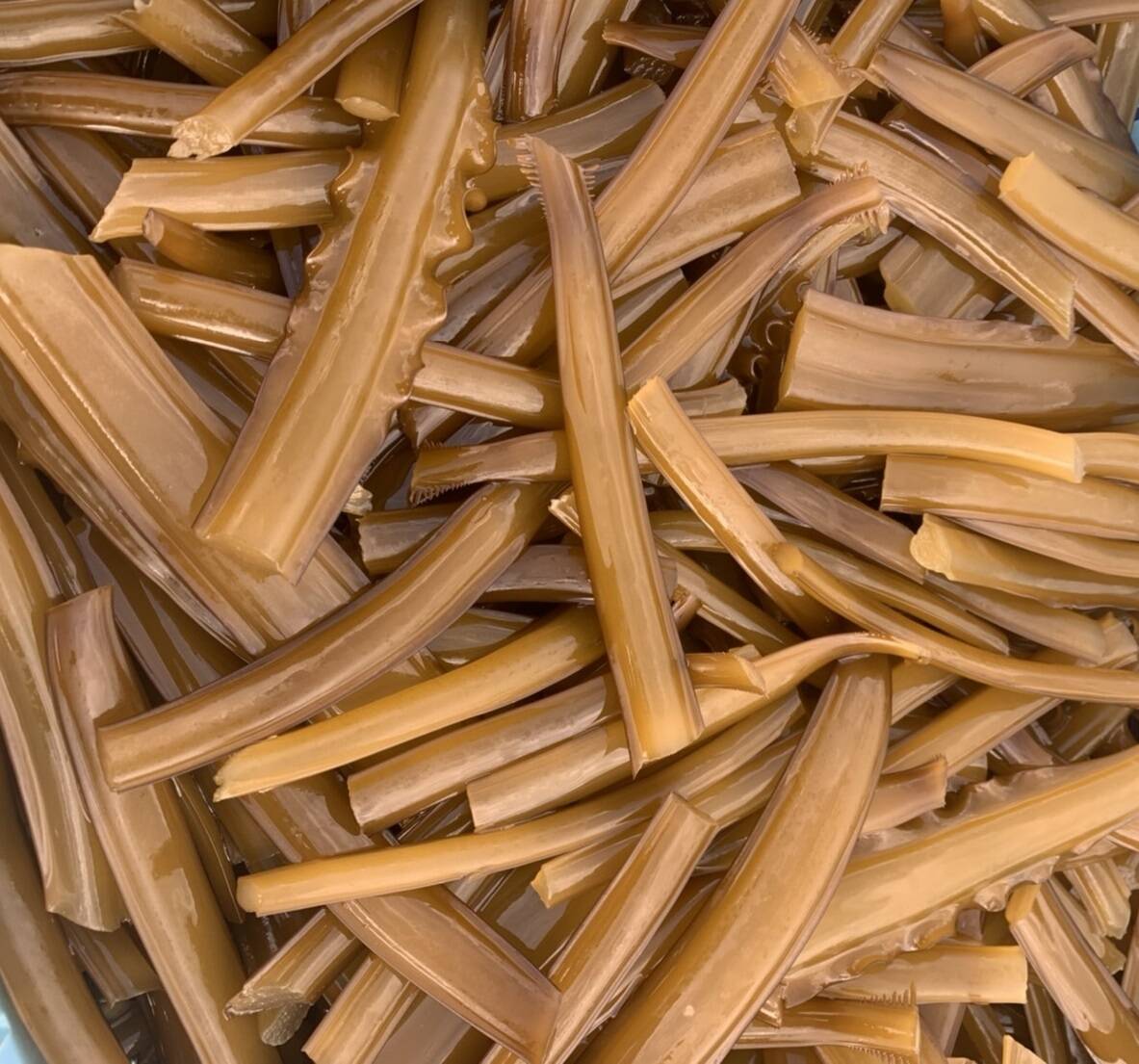 リピーターに大好評！〔おつまみ2袋オマケ付〕瀬戸内産茎わかめ 50g×5