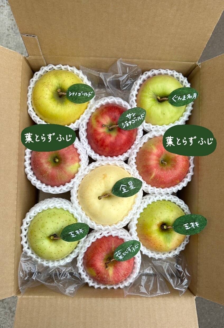 【冬ギフト】🍎5品種詰め合わせ🍎3キロ 【りんご食べ比べ】 おまかせ 商品ID171041