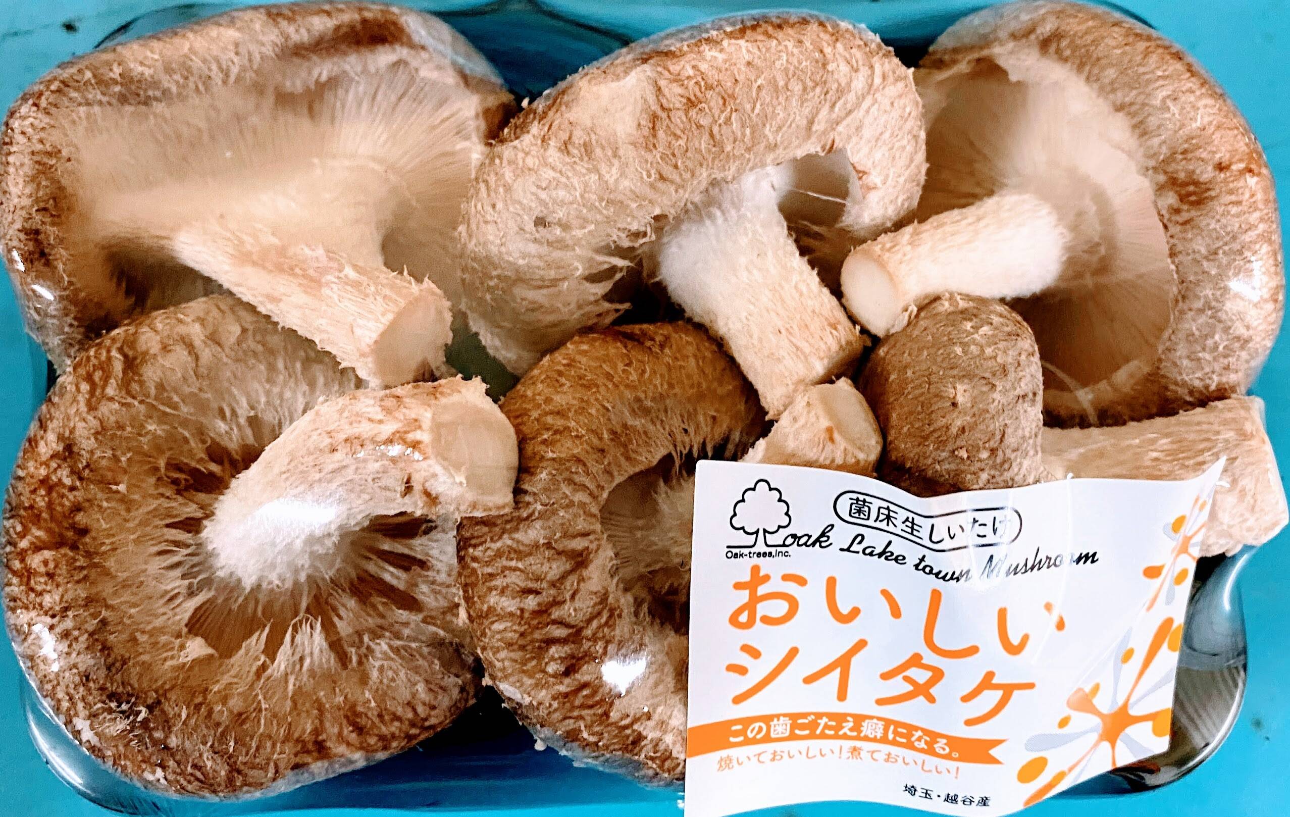越谷最強説】おいしいシイタケ 中 7パックセット：埼玉県産の