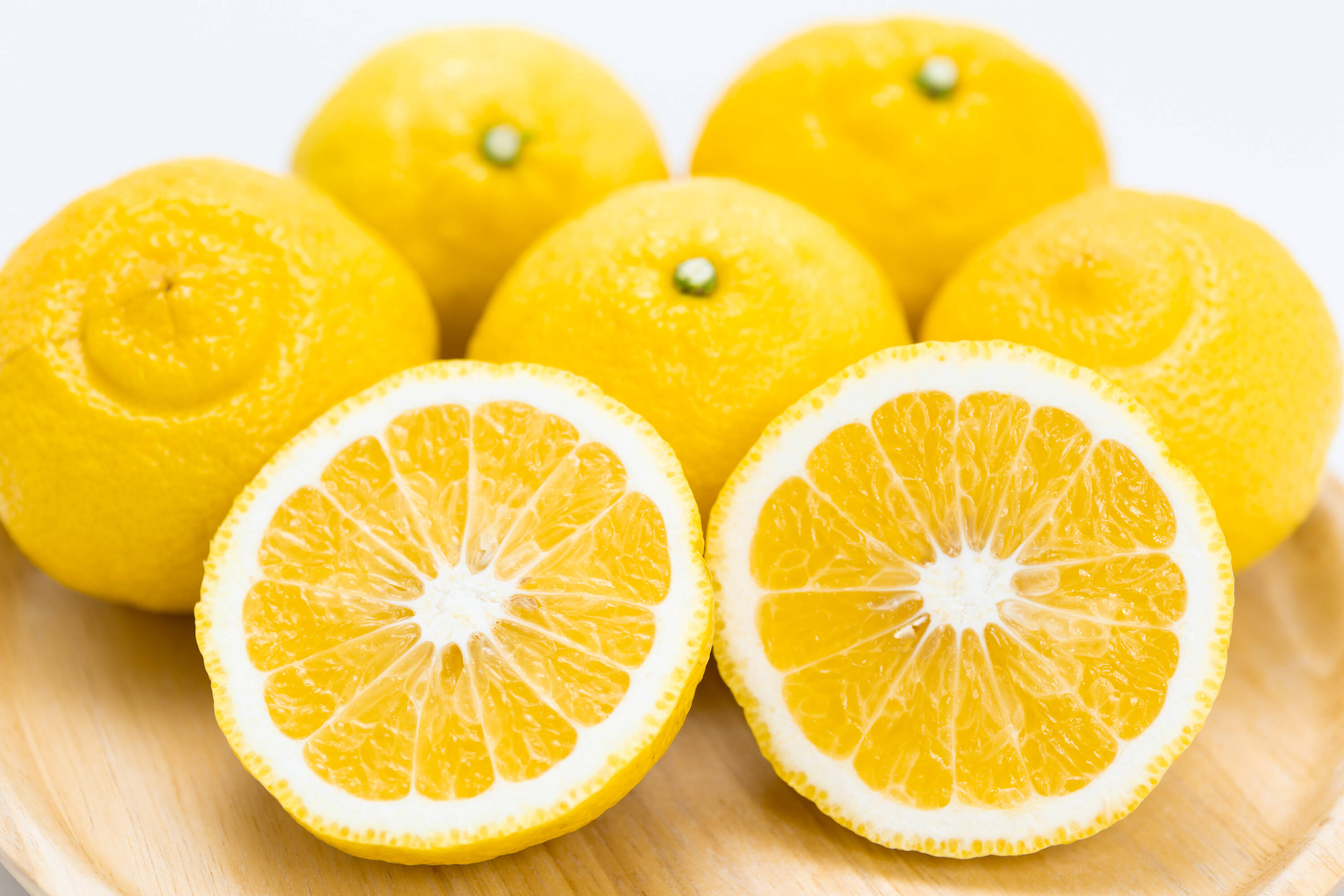 はるか品 ca24c7b420796dfac3b100ecb91830