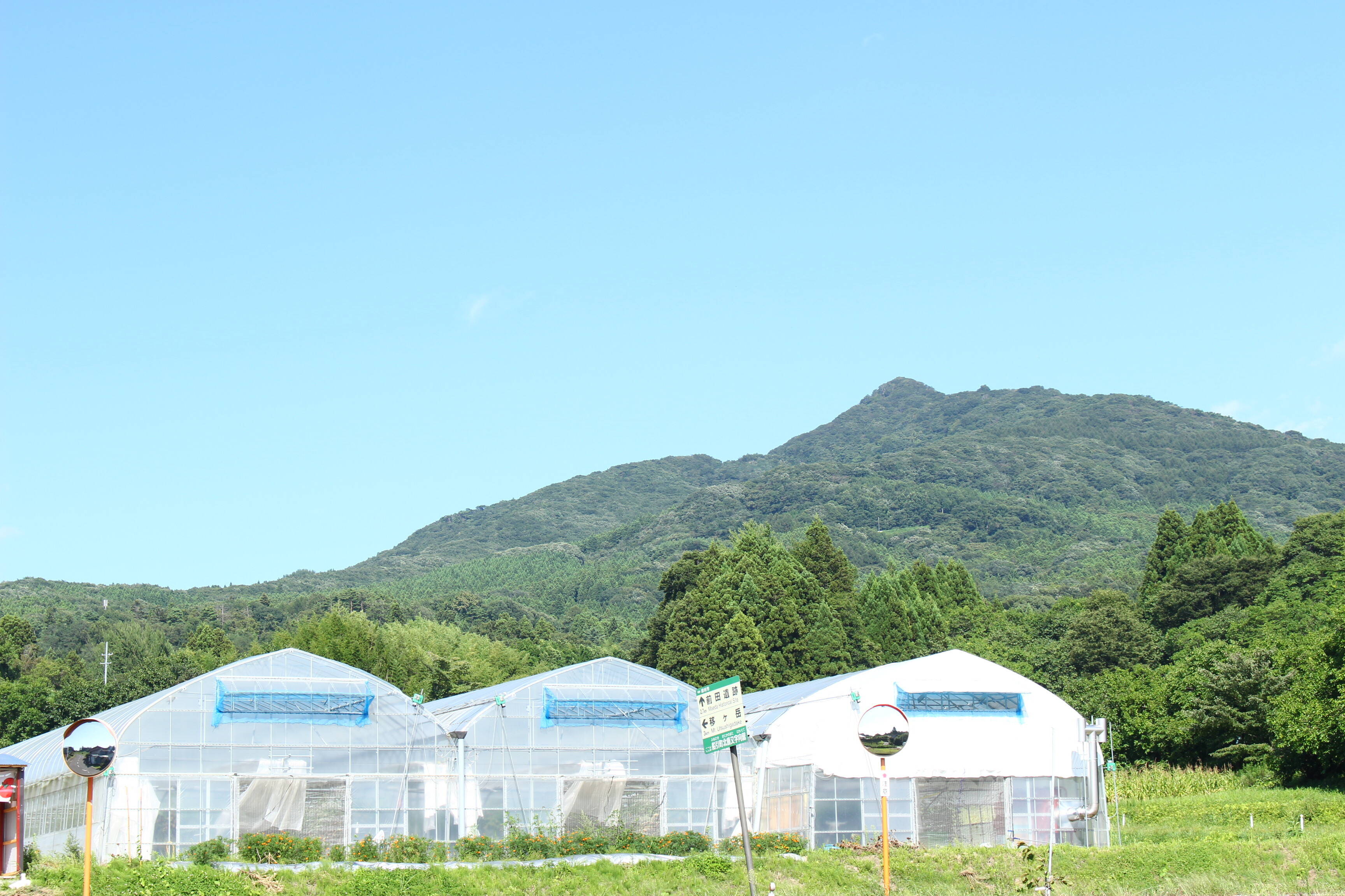 GREEN for TABLE へのレビュー・商品：福島県｜食べチョク｜産地直送