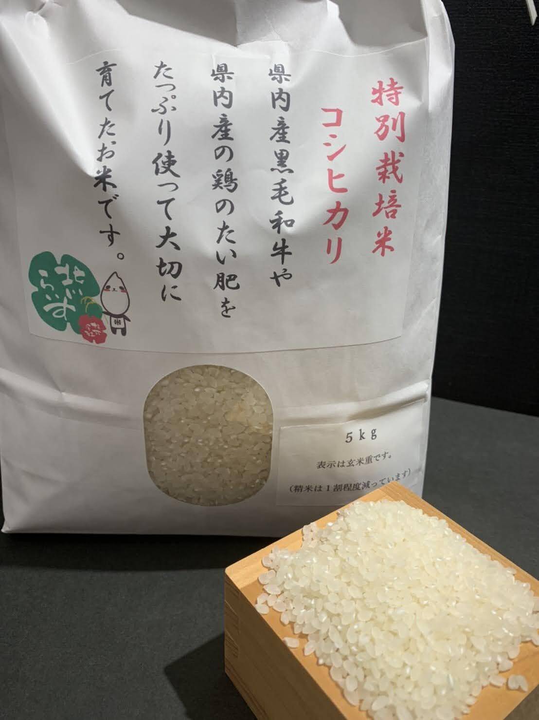 千葉県産 令和5年コシヒカリ20kg玄米 減農薬栽培