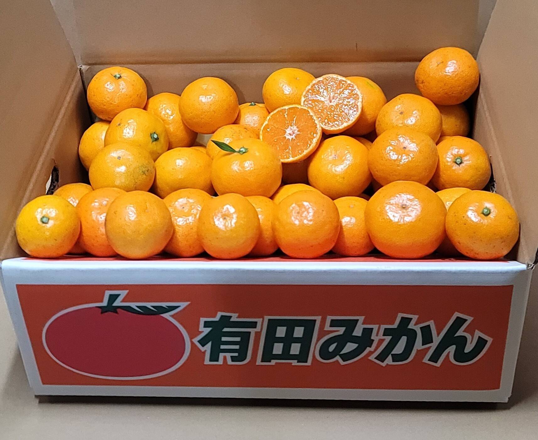 有田みかん【小粒小玉】2kg（箱込）60：和歌山県産のみかん・柑橘類