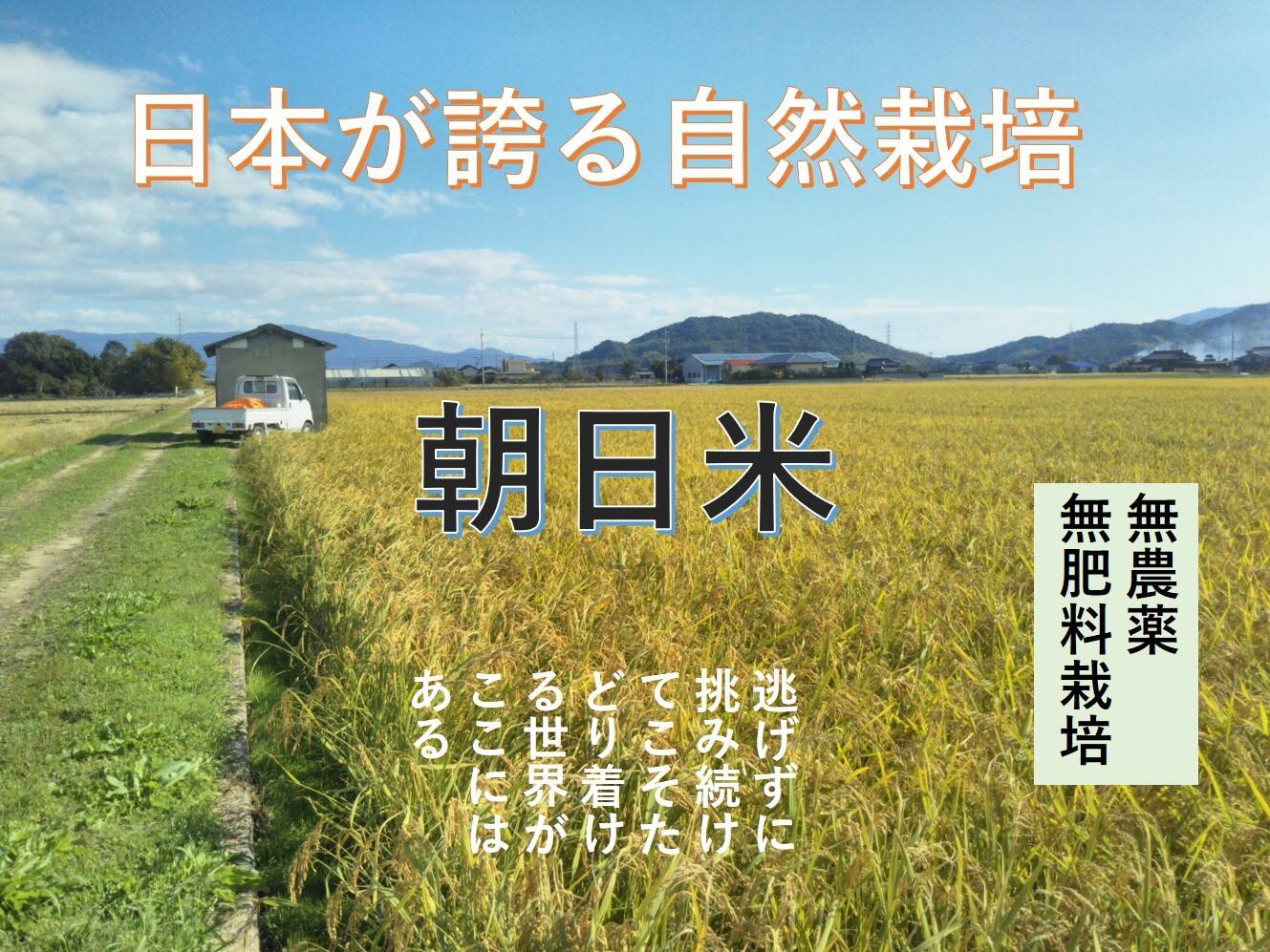 23年度産 20年以上自然栽培のお米（おいしい玄米10ｋｇ）昔の品種