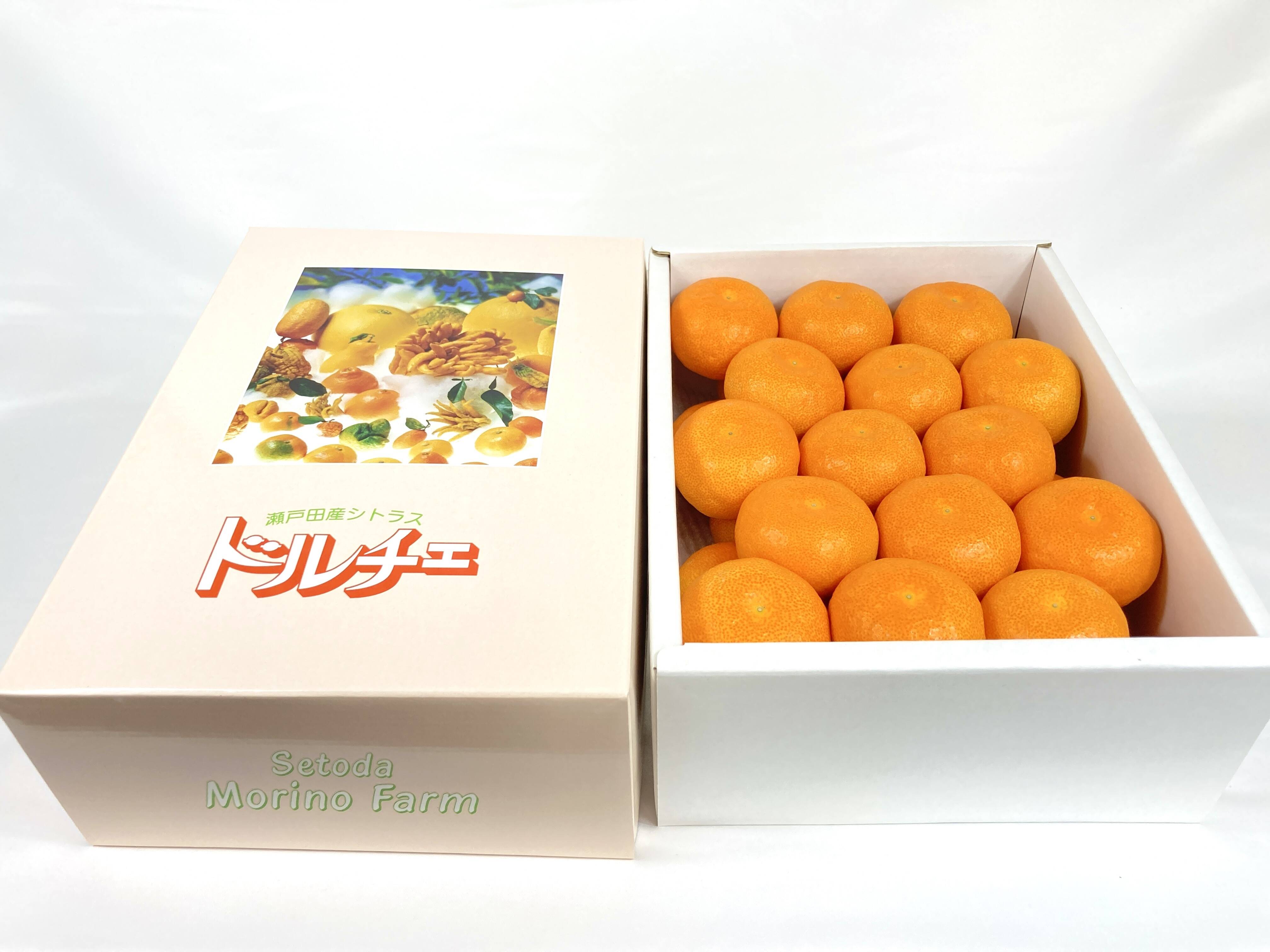 ドルチェみかん】とろける完熟ハウスみかん贈答品化粧箱☆お中元に