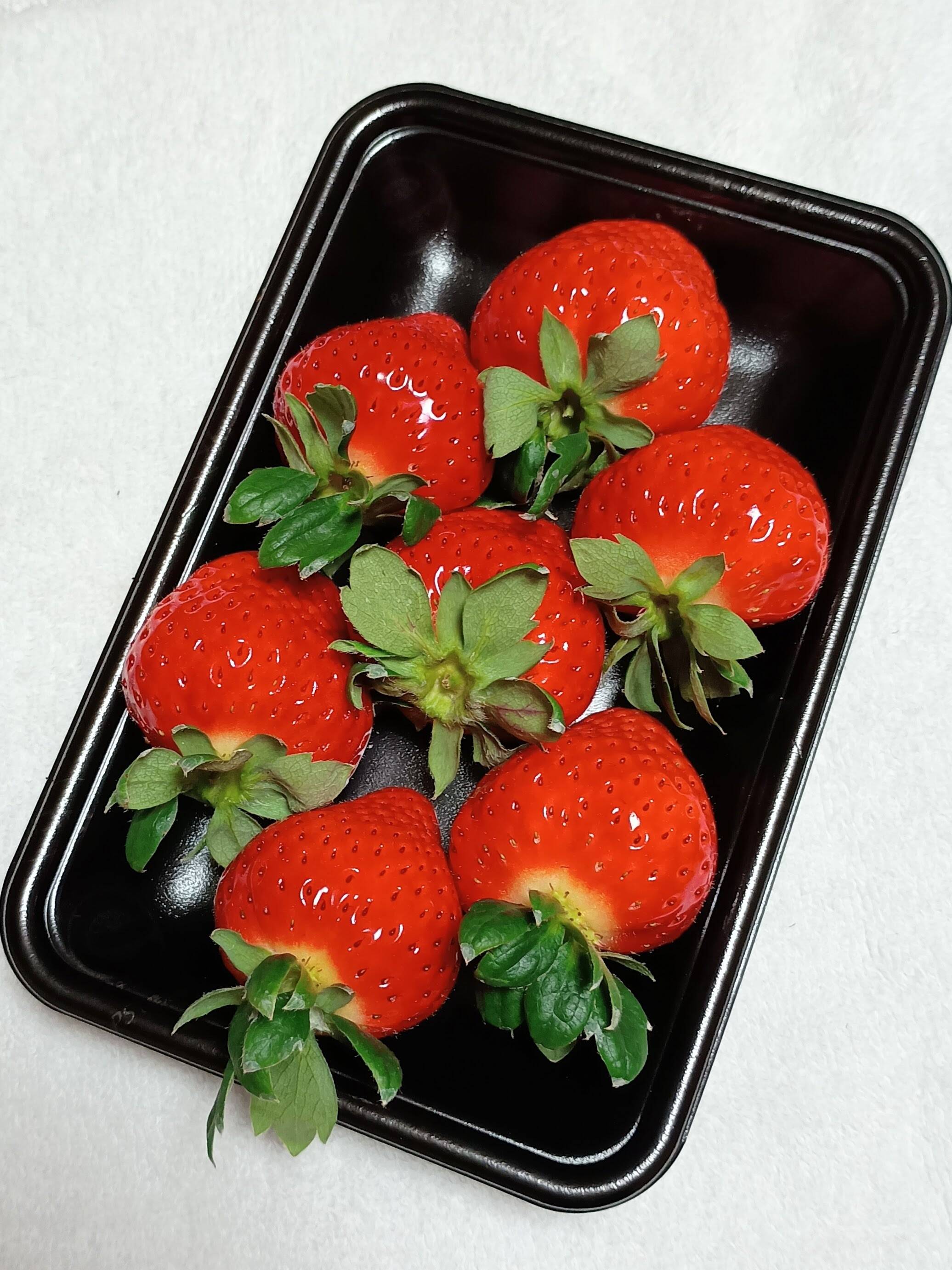 完熟・大玉】いちごの王様『おおきみ』（250g×2パック）：香川県産の