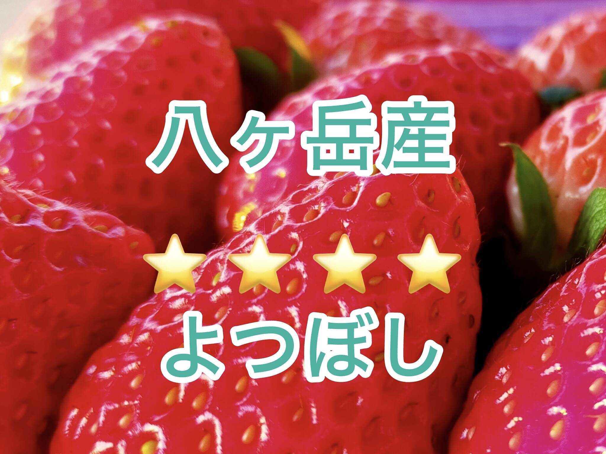 ❄️冷蔵❄️ 10,000円 → 6,800円 八ヶ岳産 ありがいちご 「よつぼし