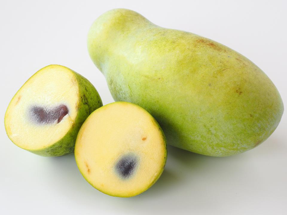 お盆特別価格設定　幻のポポー　約6kg 幻のポポー 6kg お盆特別価格設定 幻のポポー 約6kg