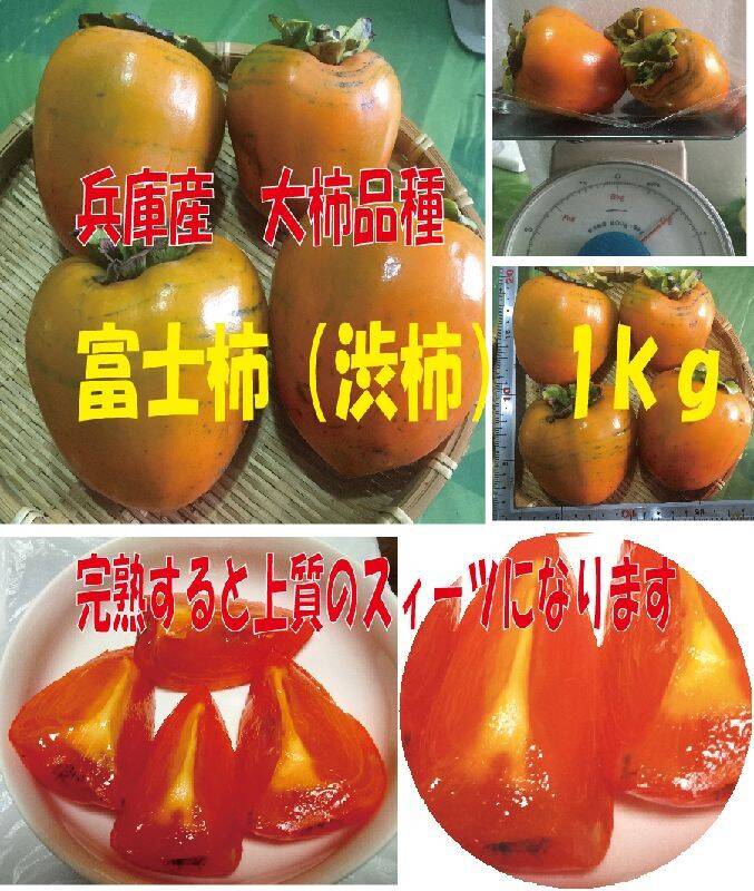 山一商事 のし柿5枚 4本×20個 8782 代引き不可）（同梱不可） 山一商事 のし柿5枚 4本×