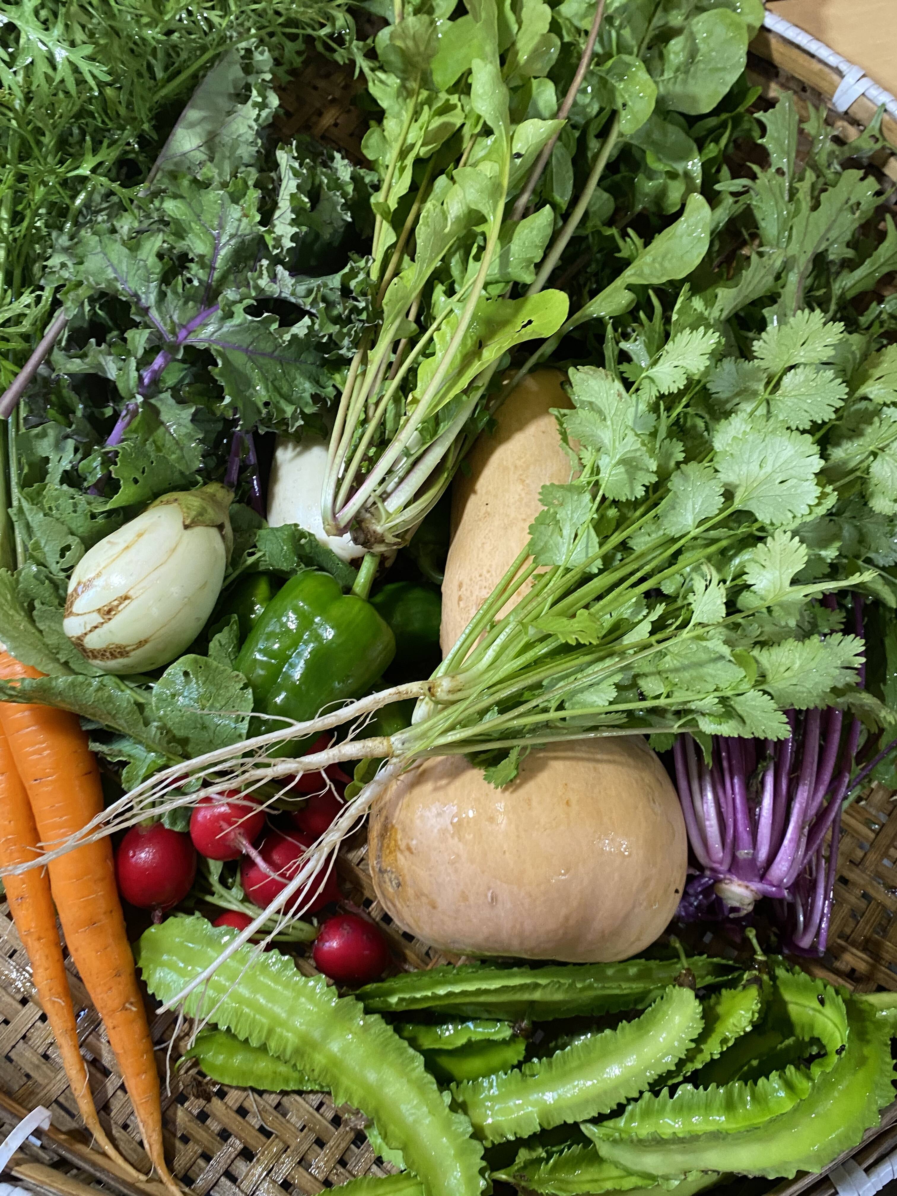 cb4412578979cc62c38eaa305588ac