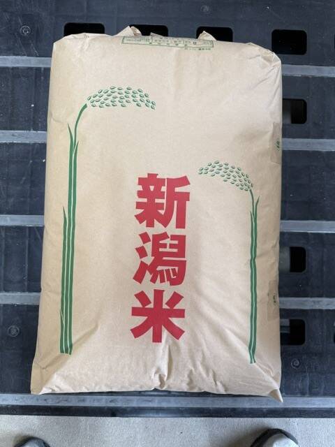 お手頃価格の新潟米を精米して食べたい方向け】令和8年産 こしいぶき
