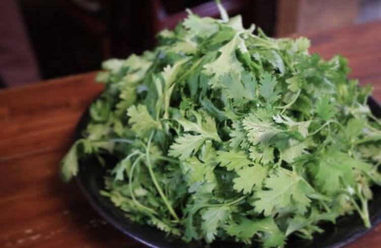 cbf62208b70bf0d60512e7b3af48d4