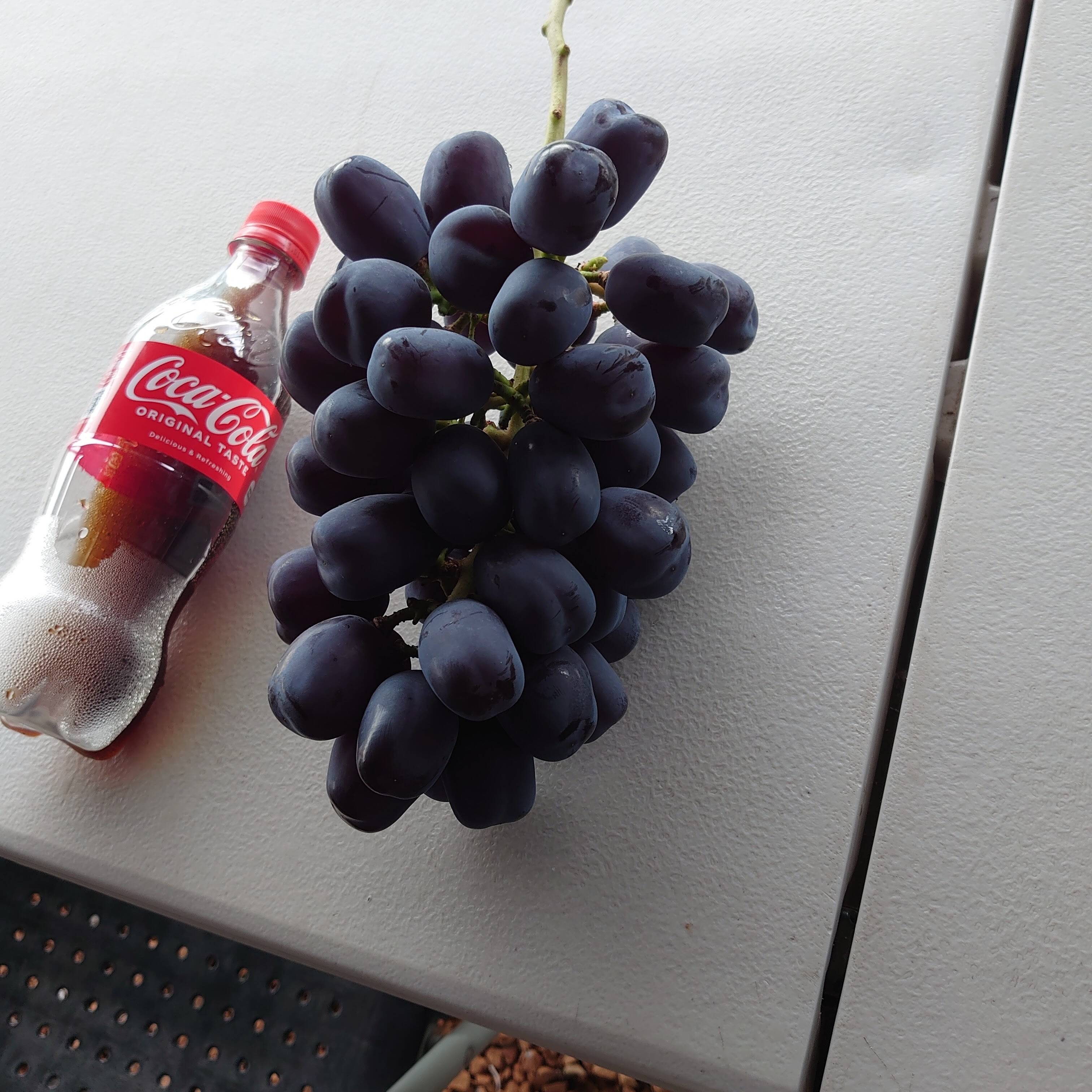 超希少！糖度20度超え話題沸騰【富士輝き】一房600g以上 2房入：山梨県