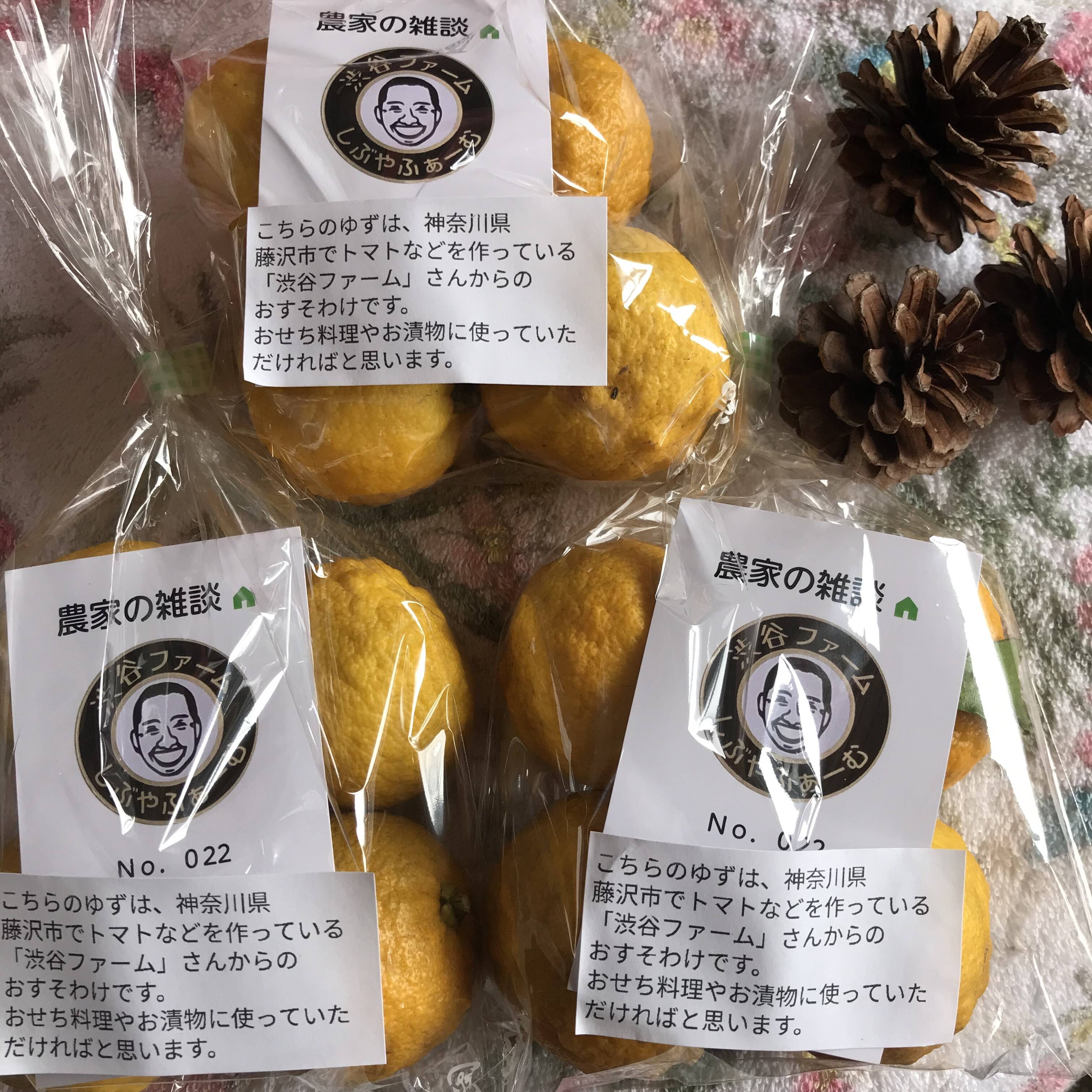 【農家直送】柚子15kg（箱込み） ◎ご家庭用品 おすそ分けに柚子を入れました｜食べチョク｜産地直送(産直)お取り寄せ