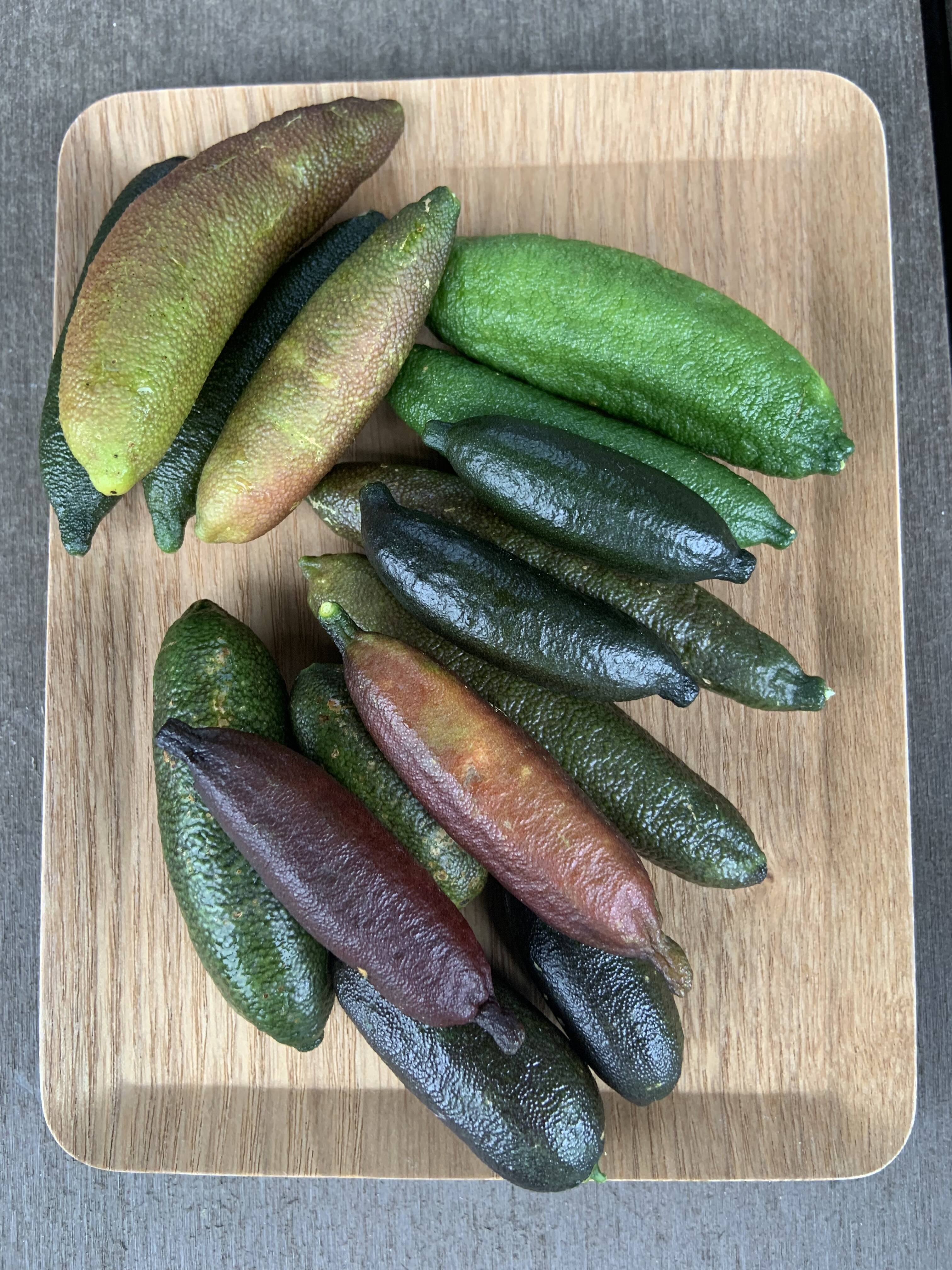 フィンガーライム ミックス_100g：千葉県産のみかん・柑橘類｜食べ