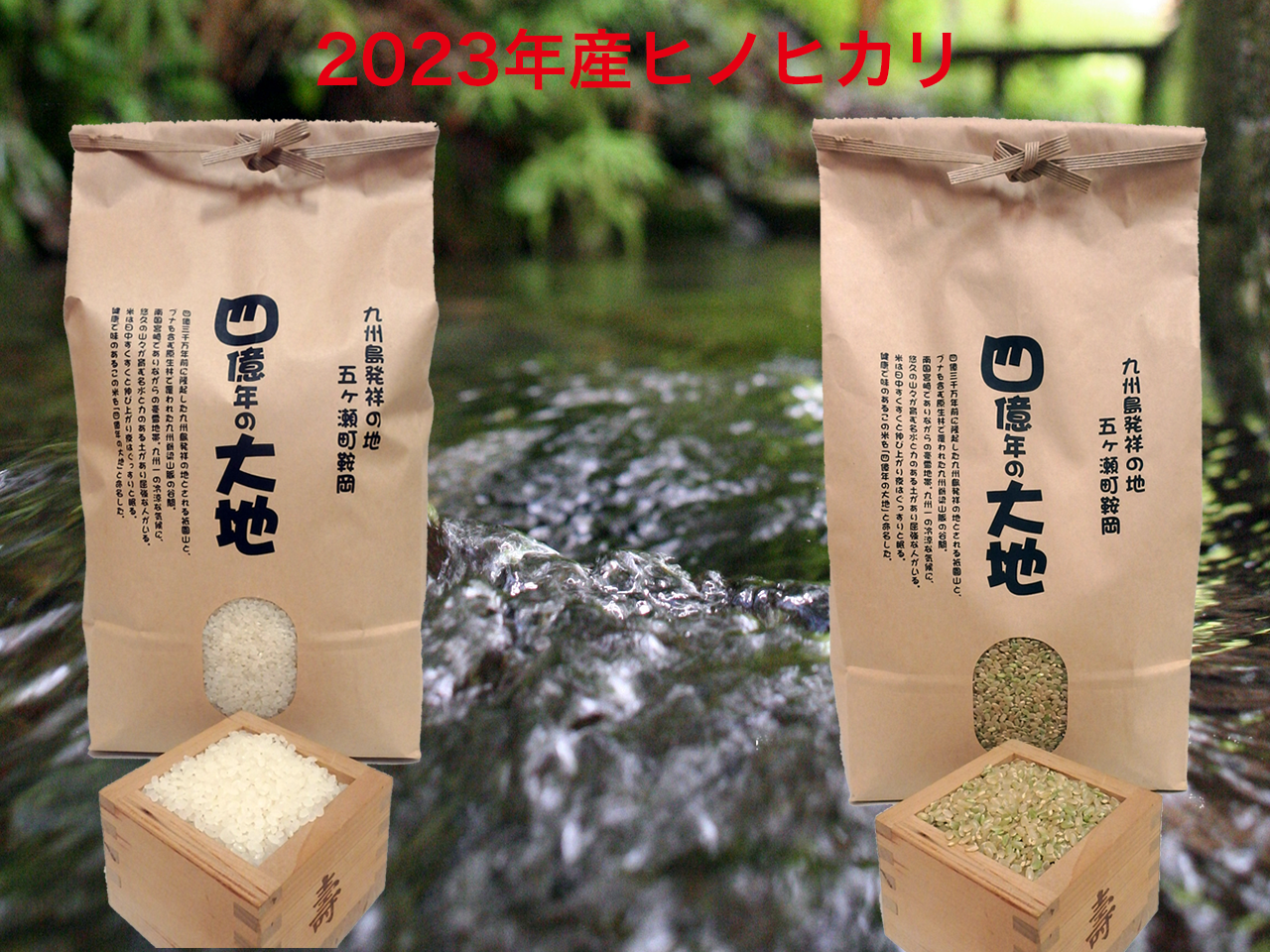 完売御礼‼︎【20kg】淡路島産ヒノヒカリ 新米 「米Happy