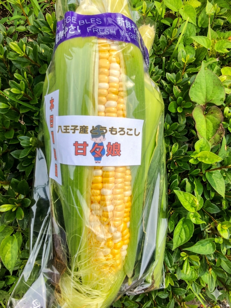 10【朝どれ】収穫日発送 東京都八王子産 とうもろこしトウモロコシ 