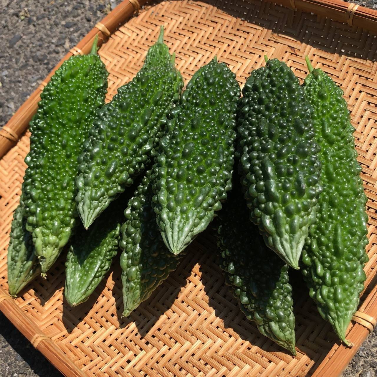 採れたて！ゴーヤ 6kg：群馬県産の野菜｜食べチョク｜産地直送(産直)お取り寄せ通販 - 農家・漁師から旬の食材を直送